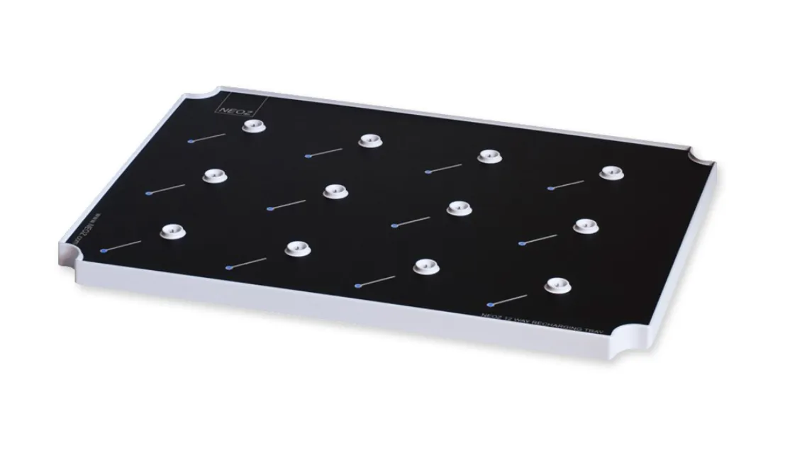 Neoz rechargeable light charging station for 12 
