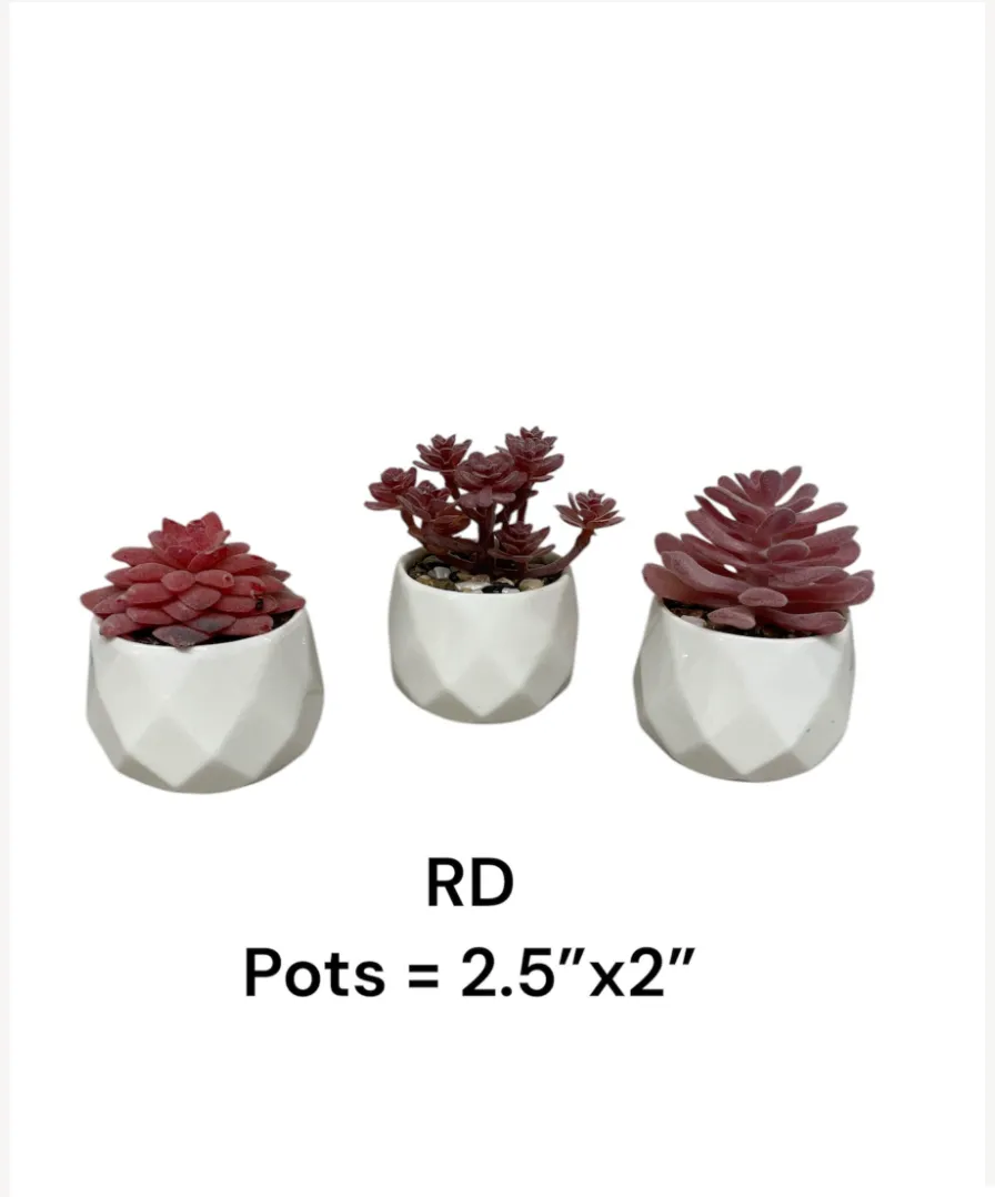 small red succulent in white pots plant fake2.5 x2"