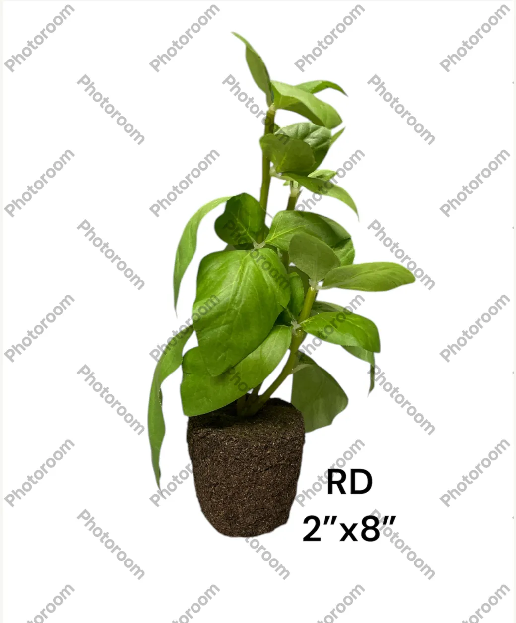 fake basil 2x8" no pot