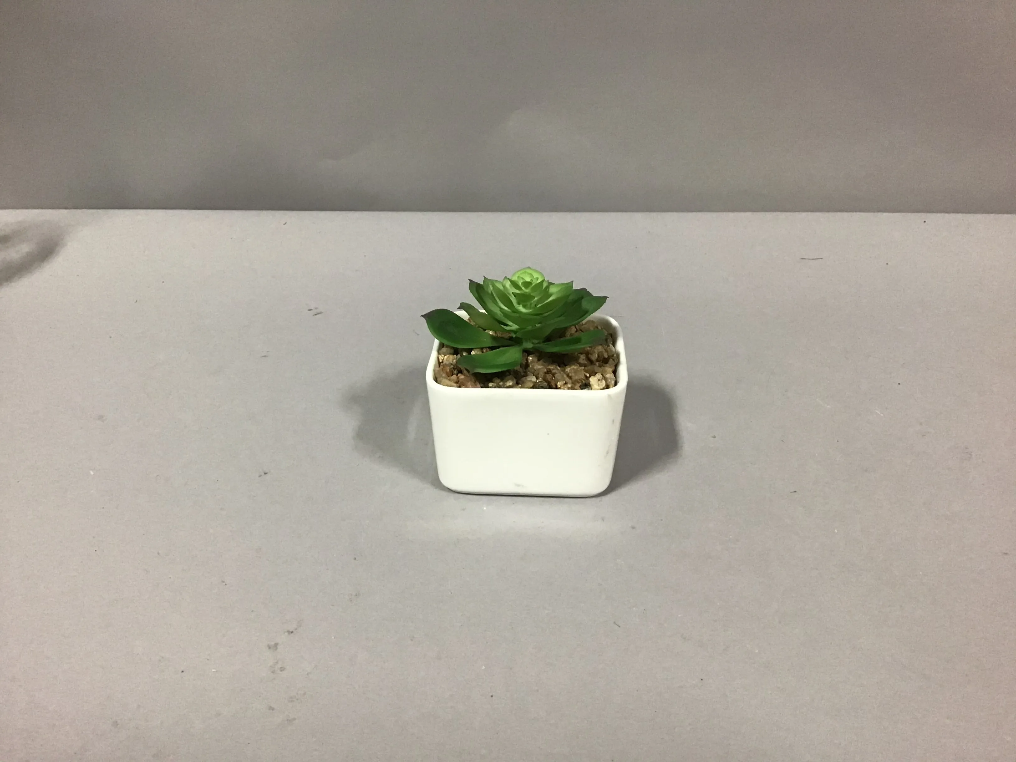 succulent white pot small 3.5 x2.5"