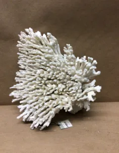 white coral piece 12 x7"