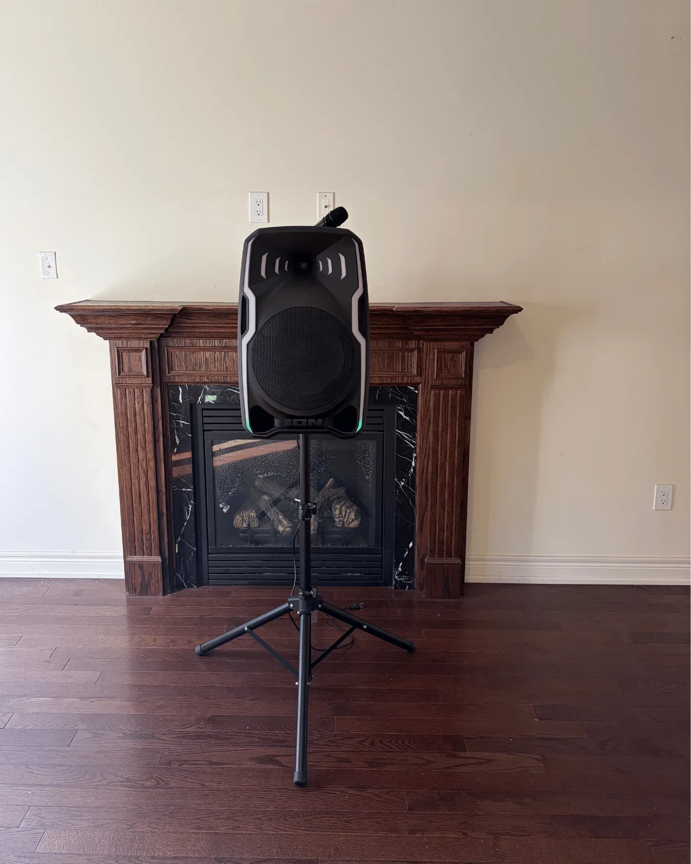 ion speaker