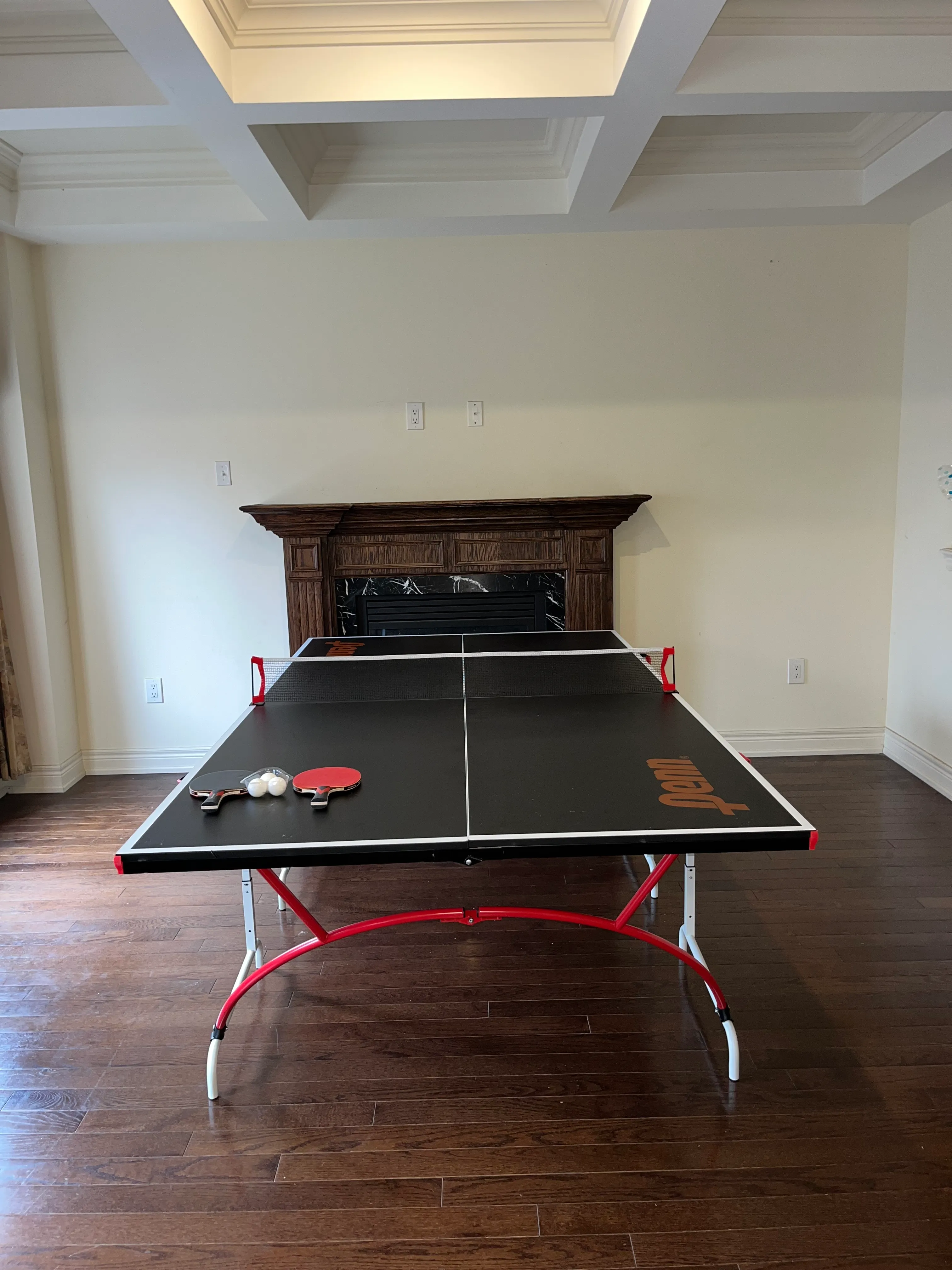 Ping Pong Table - Mid Size 