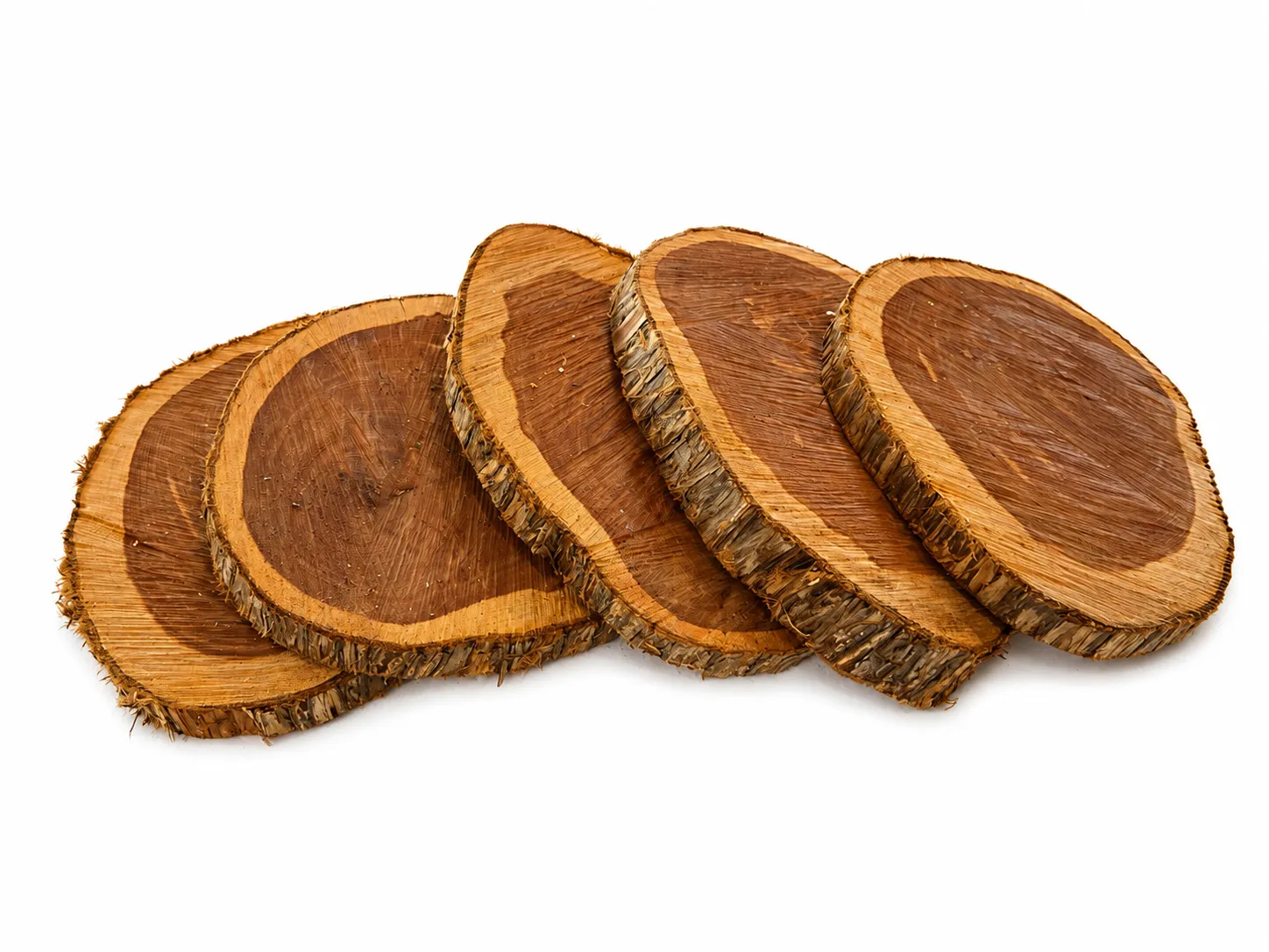 Wood Slice