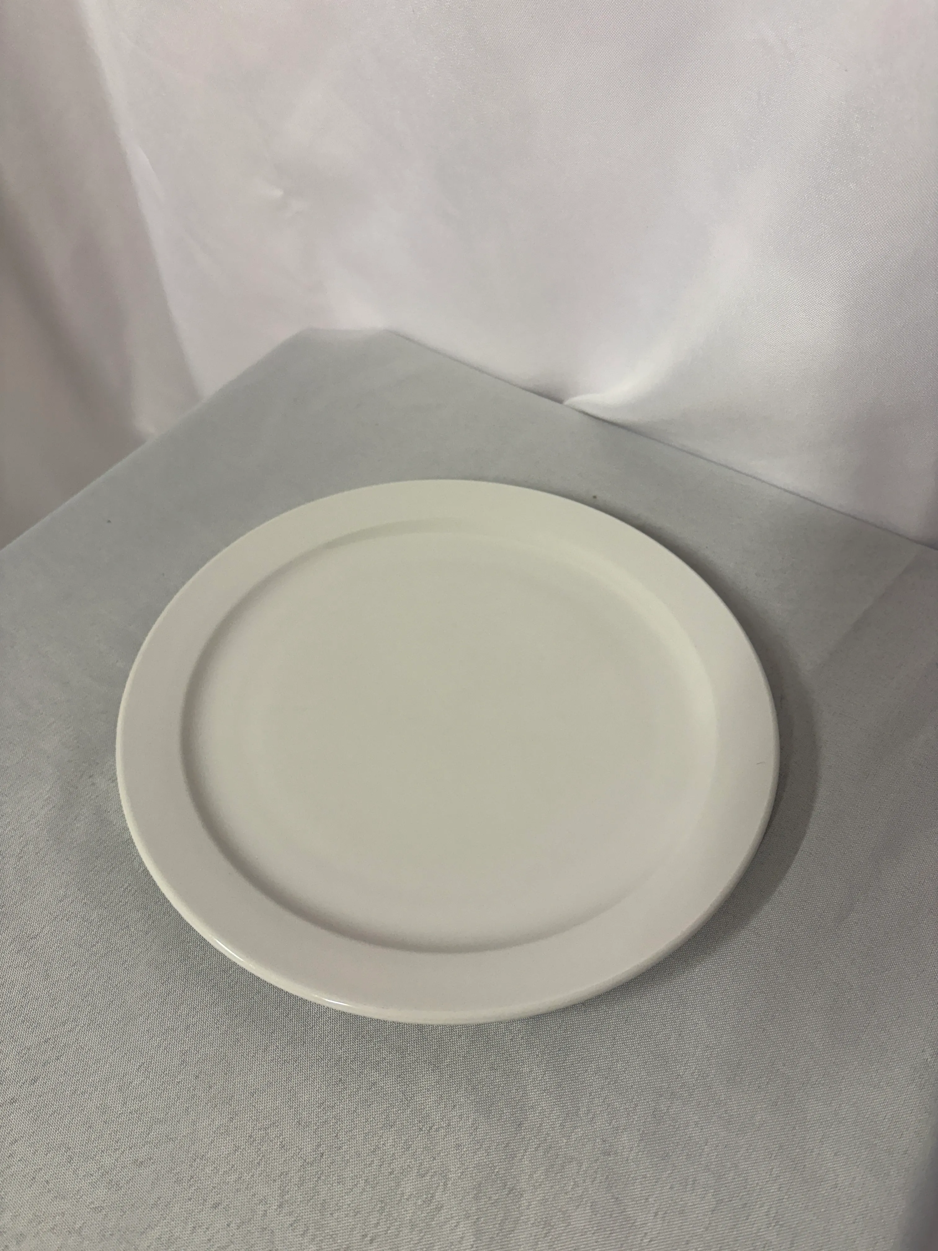10 Inch Sysco Plates (Dinner Plate)