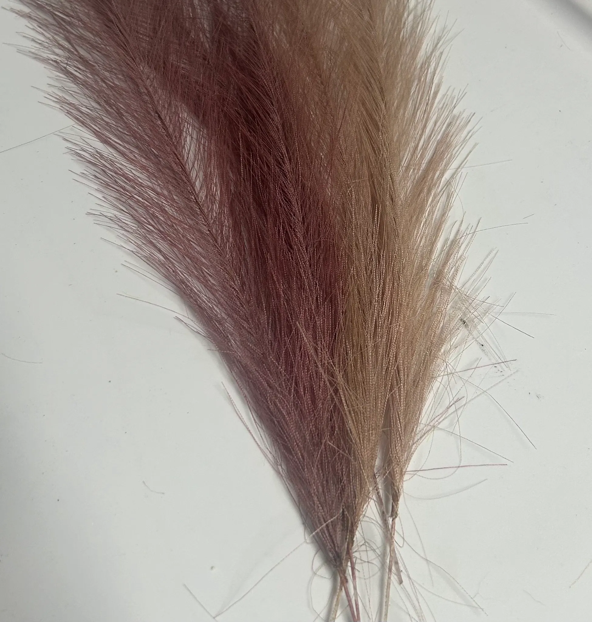 Medium Purple Feathers