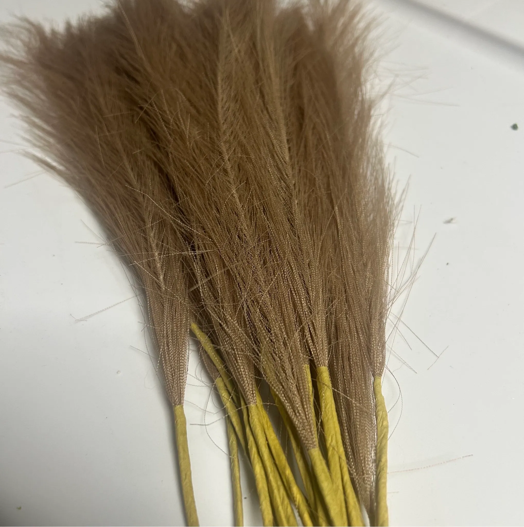 Small Brown Feathers