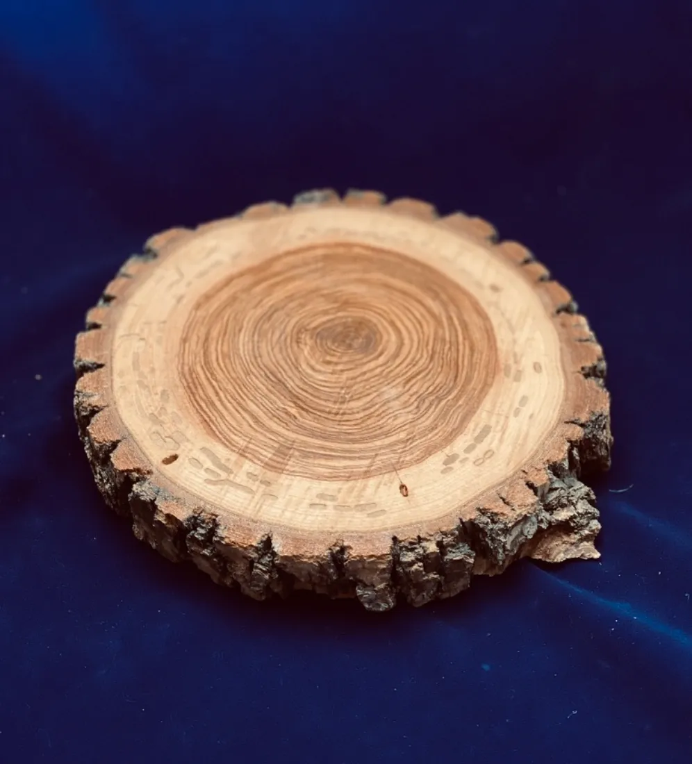 Wood Slab Centerpiece