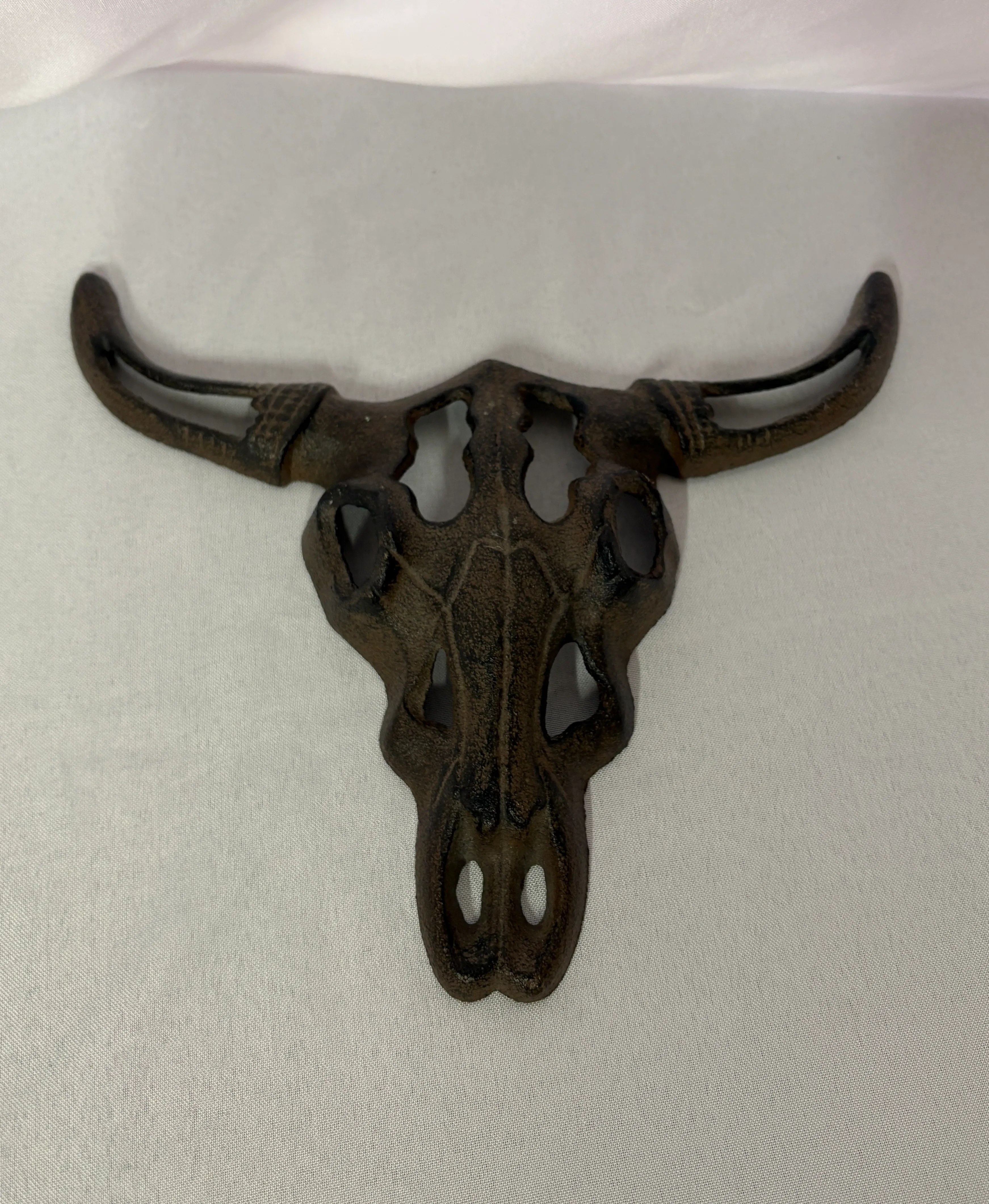 Metal Rustic Skull