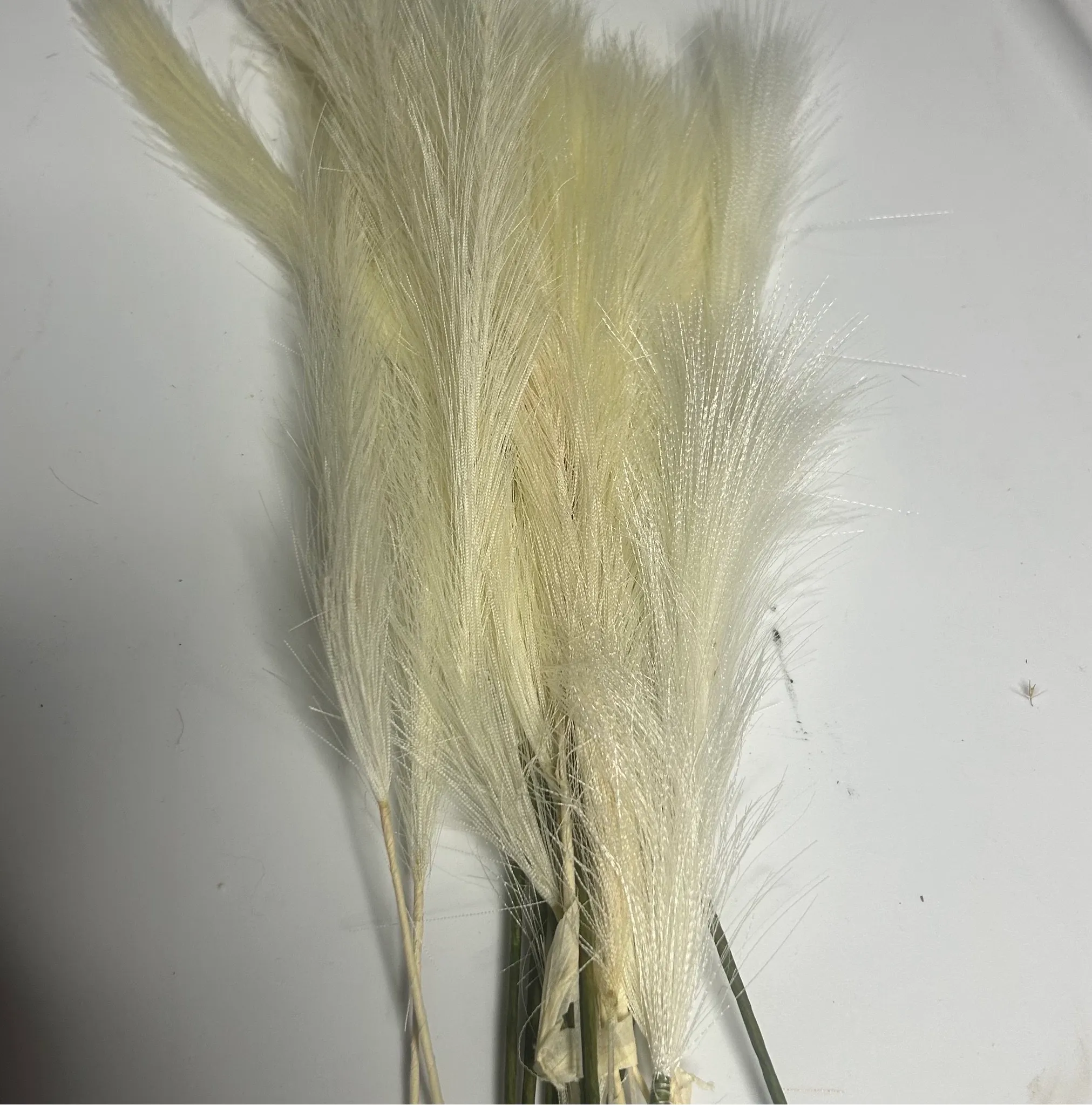 Small White Feathers