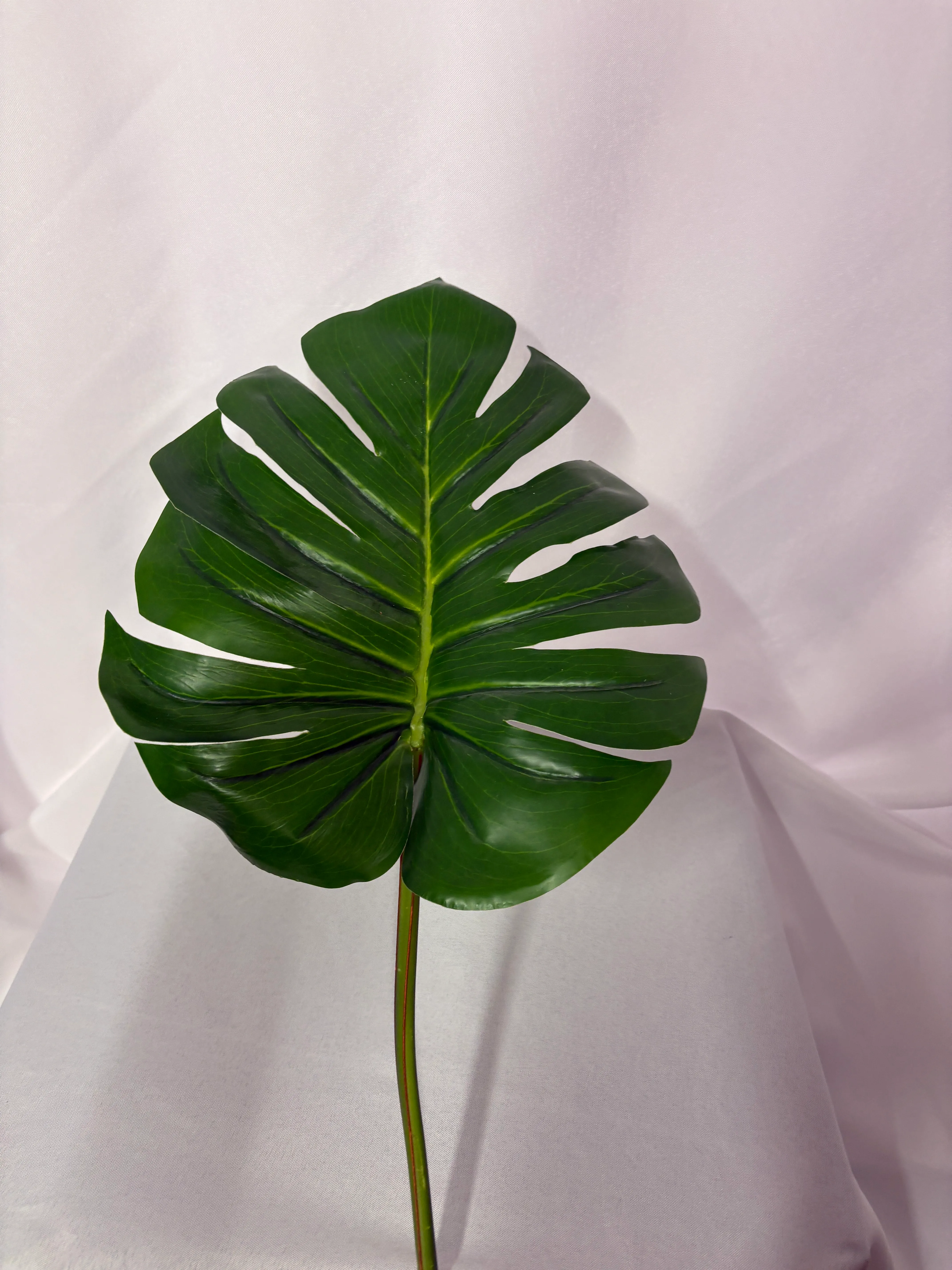 Monstera Leaf Large Premium 