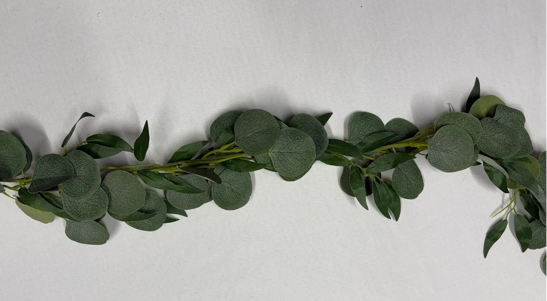 Willow / Silver Dollar Garland