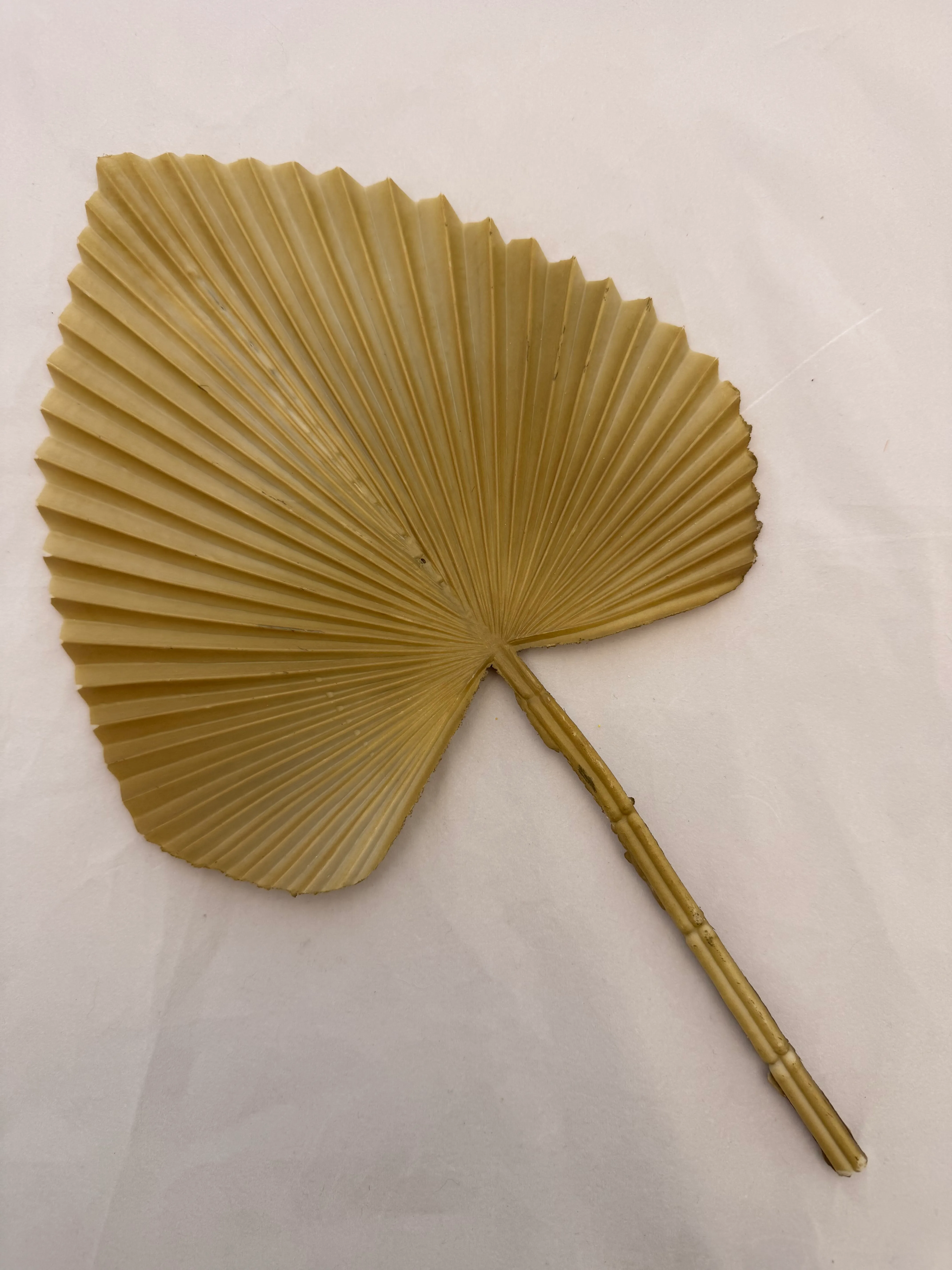 Large Artificial Palm