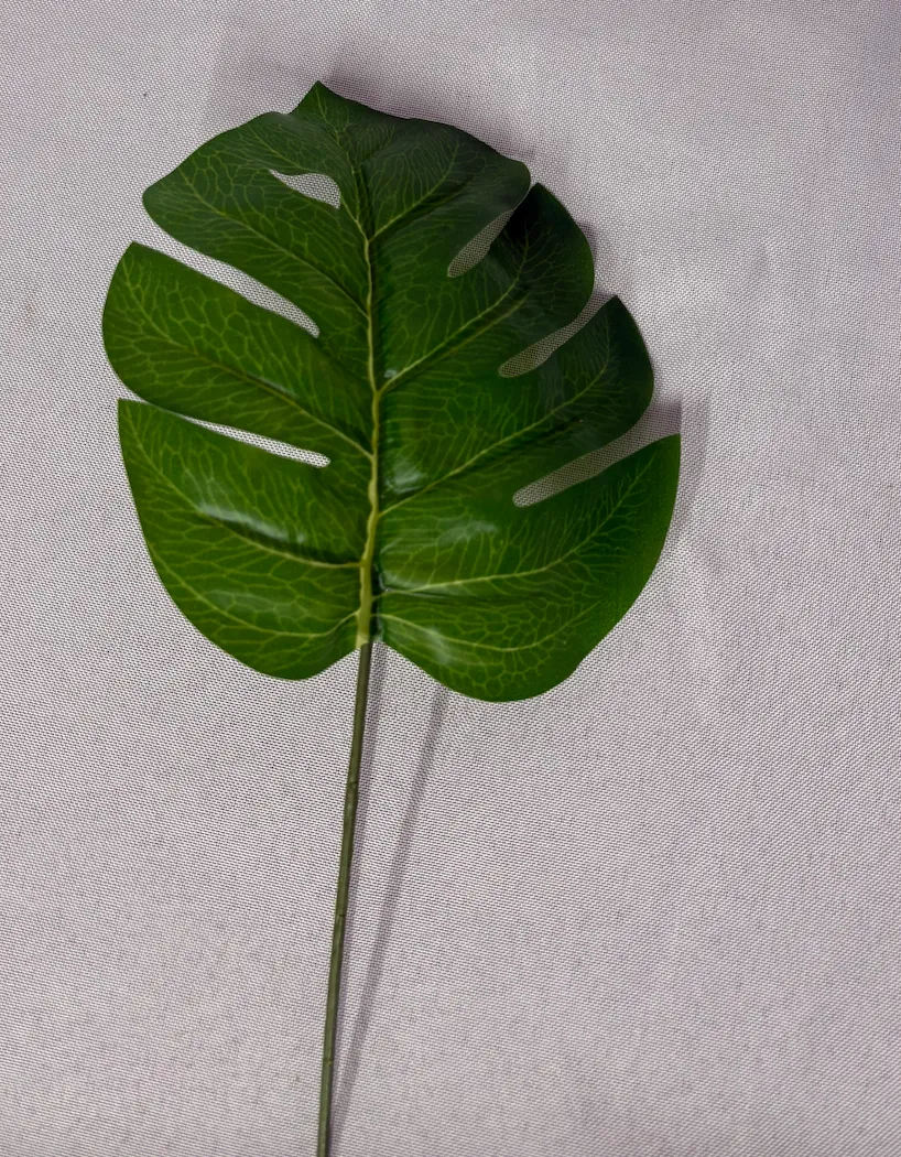 Tropical Filler Set 1