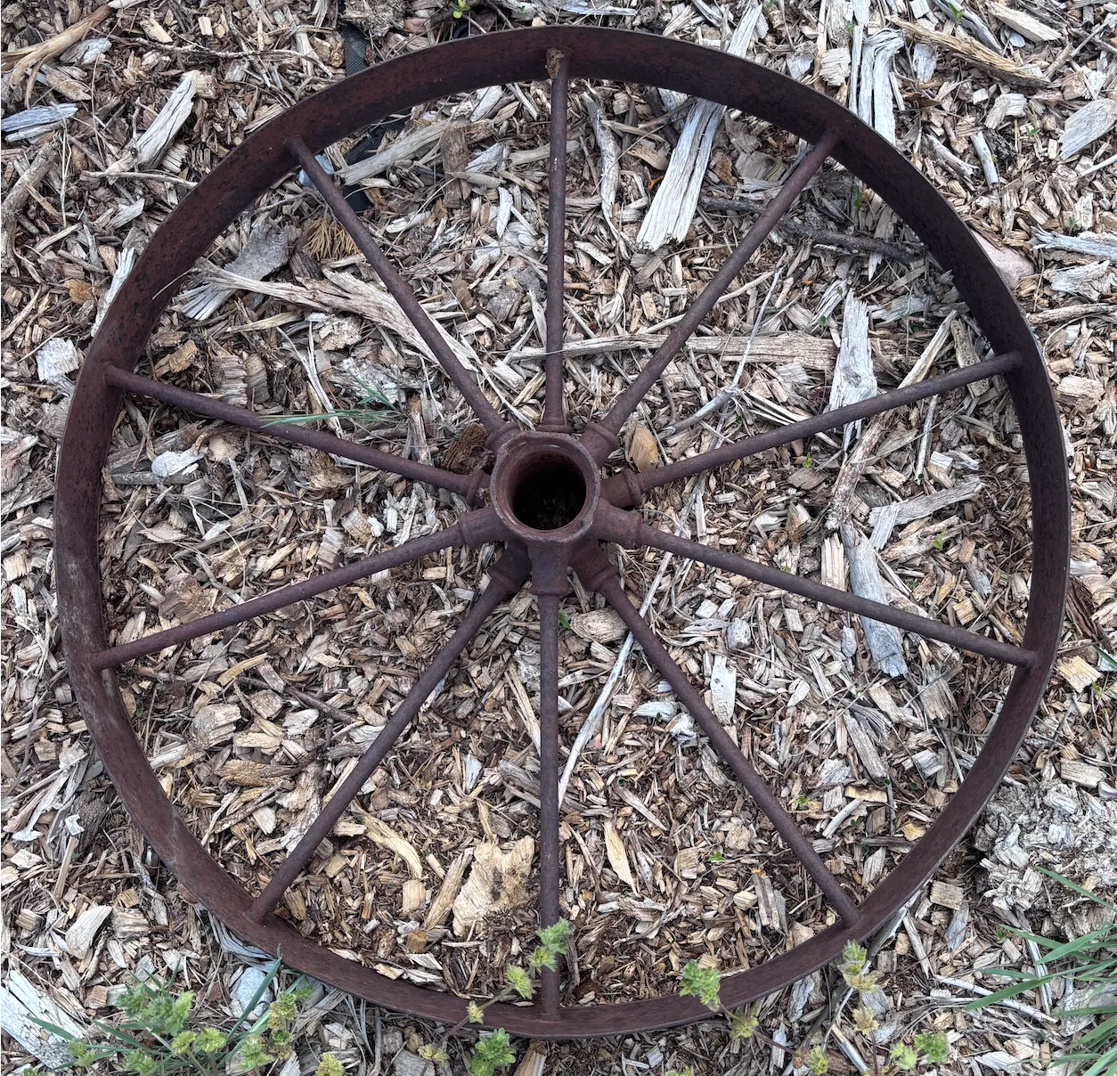 Iron Wagon Wheel 24”