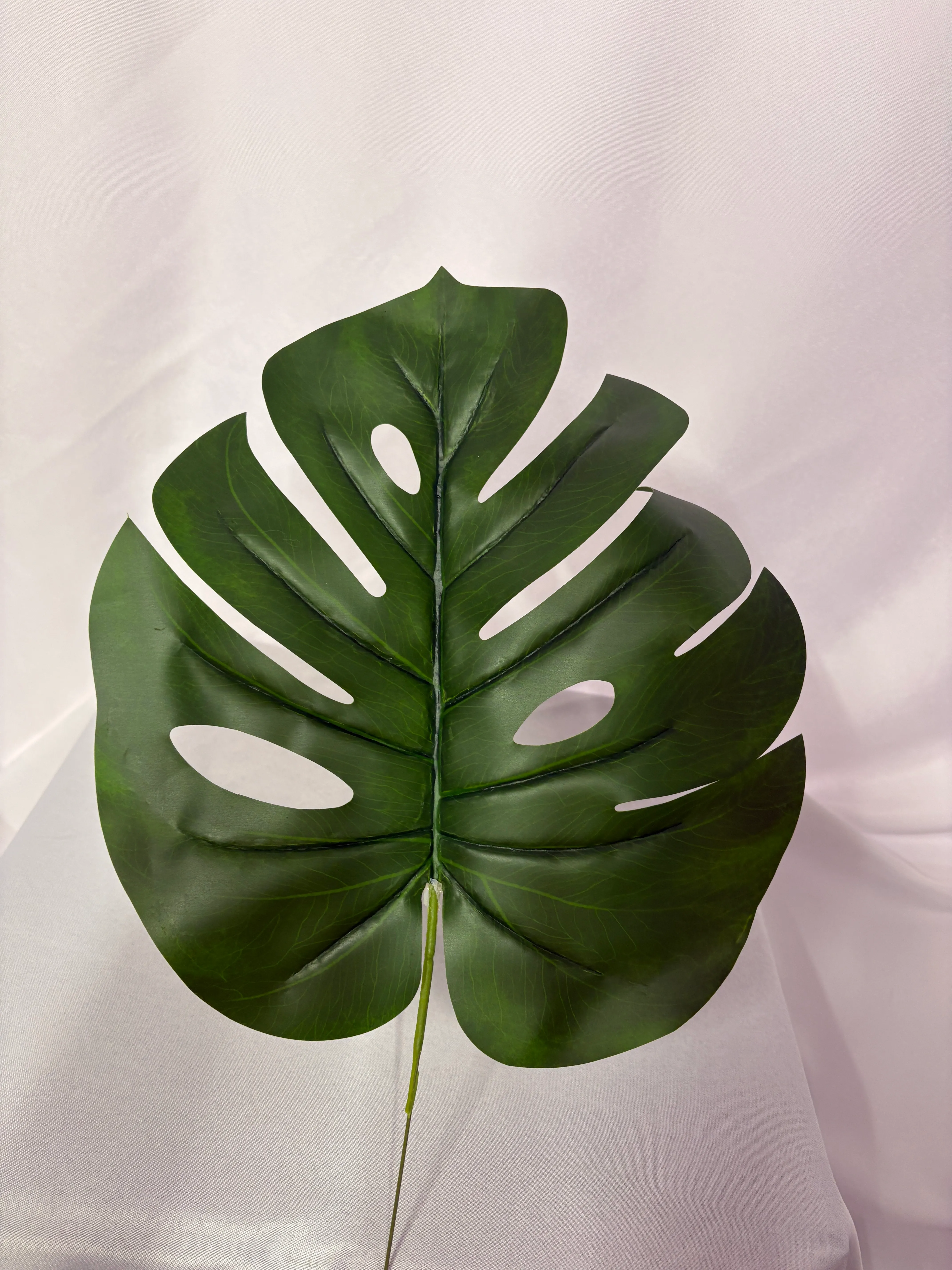 Monstera Leaf Large