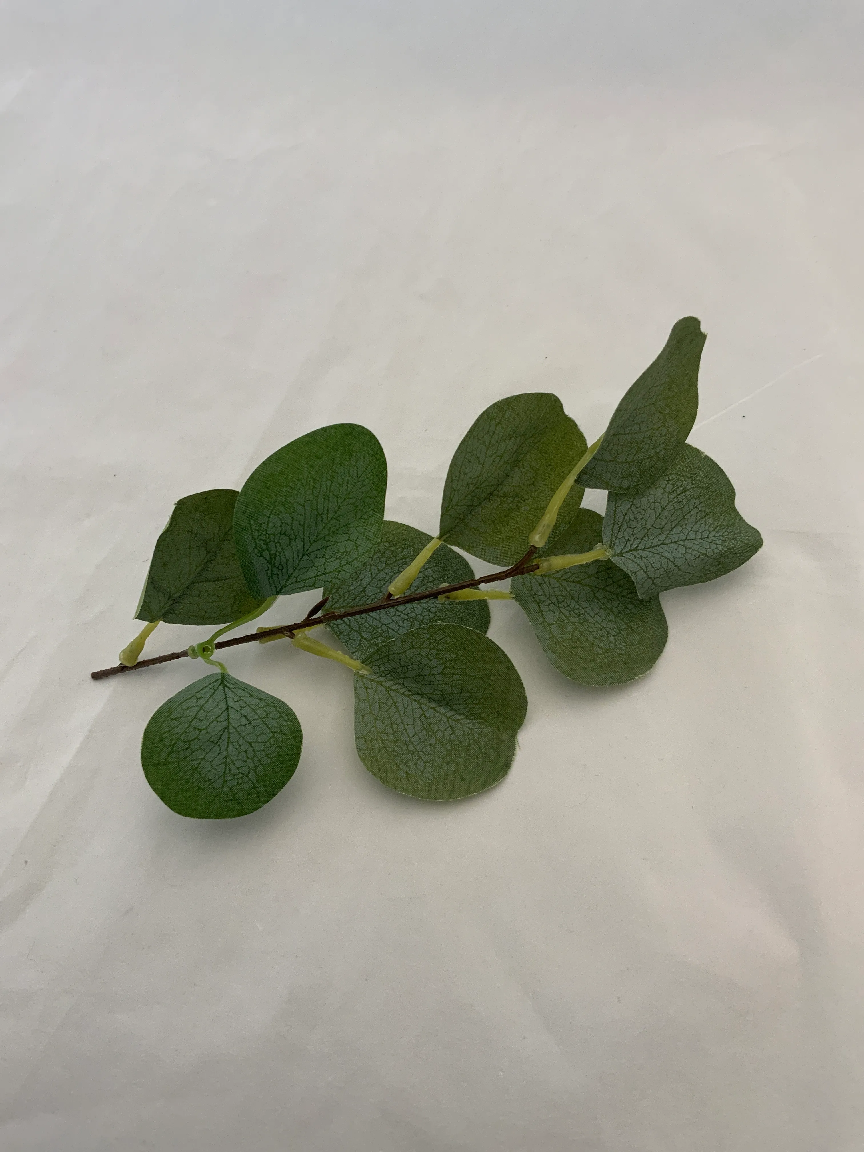 Silver Dollar Eucalyptus Centerpiece Stems