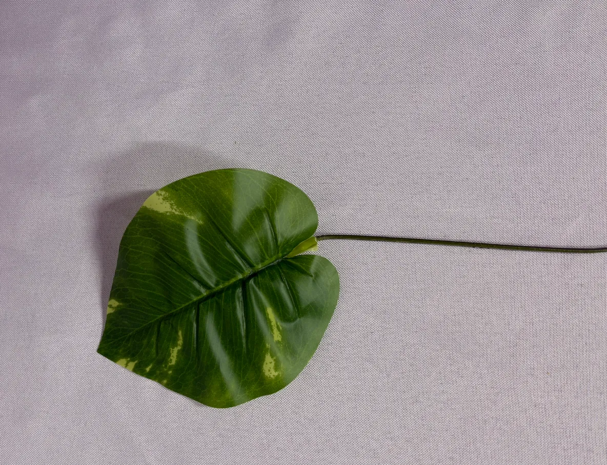 Tropical Filler Set 2