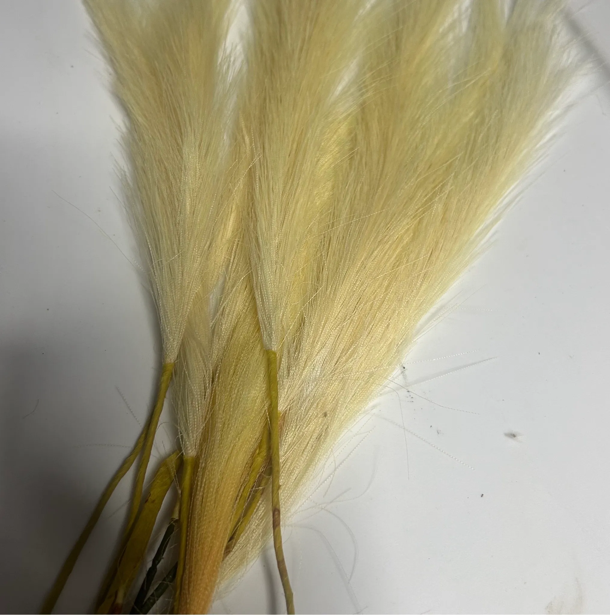 Small Ivory Feathers