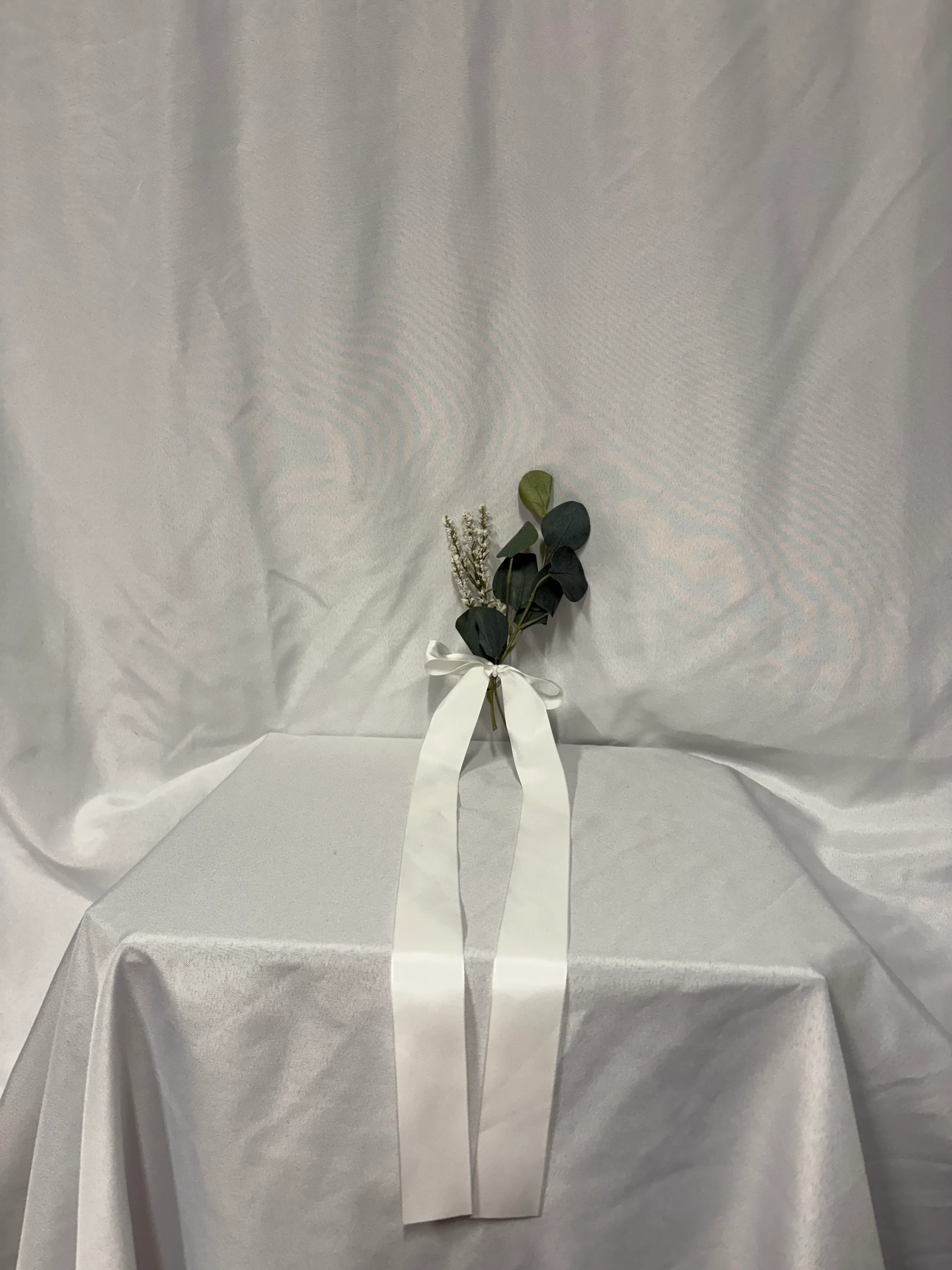Eucalyptus w/ Smooth Ribbon (Set of 7)