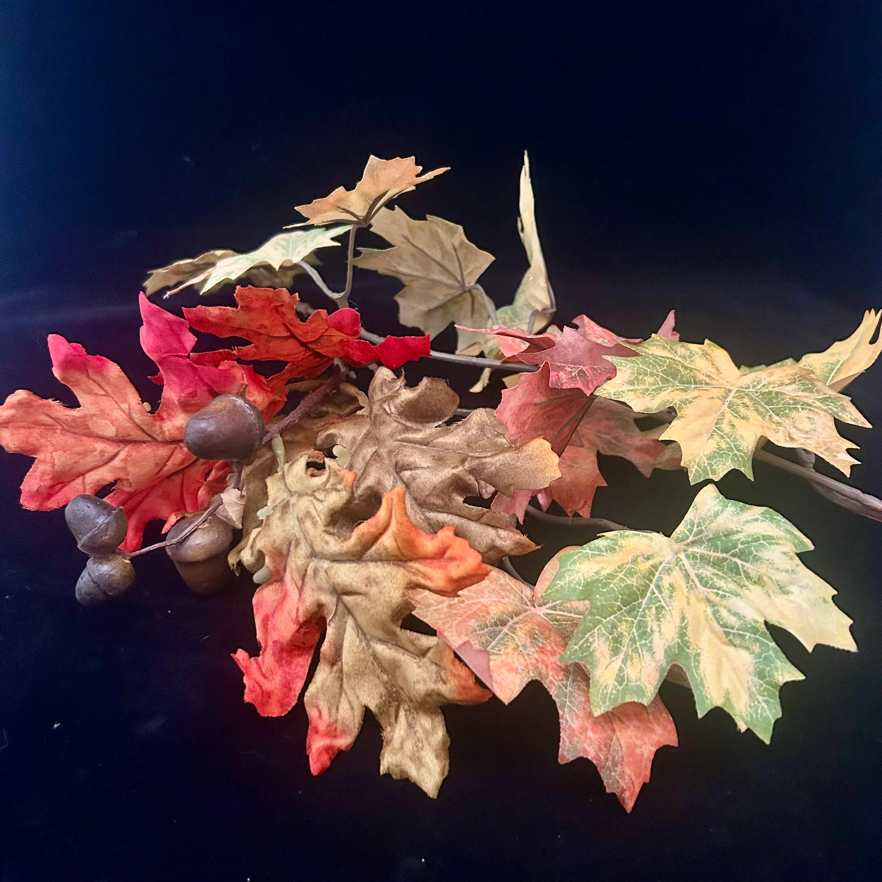 Fall Leaf Stem