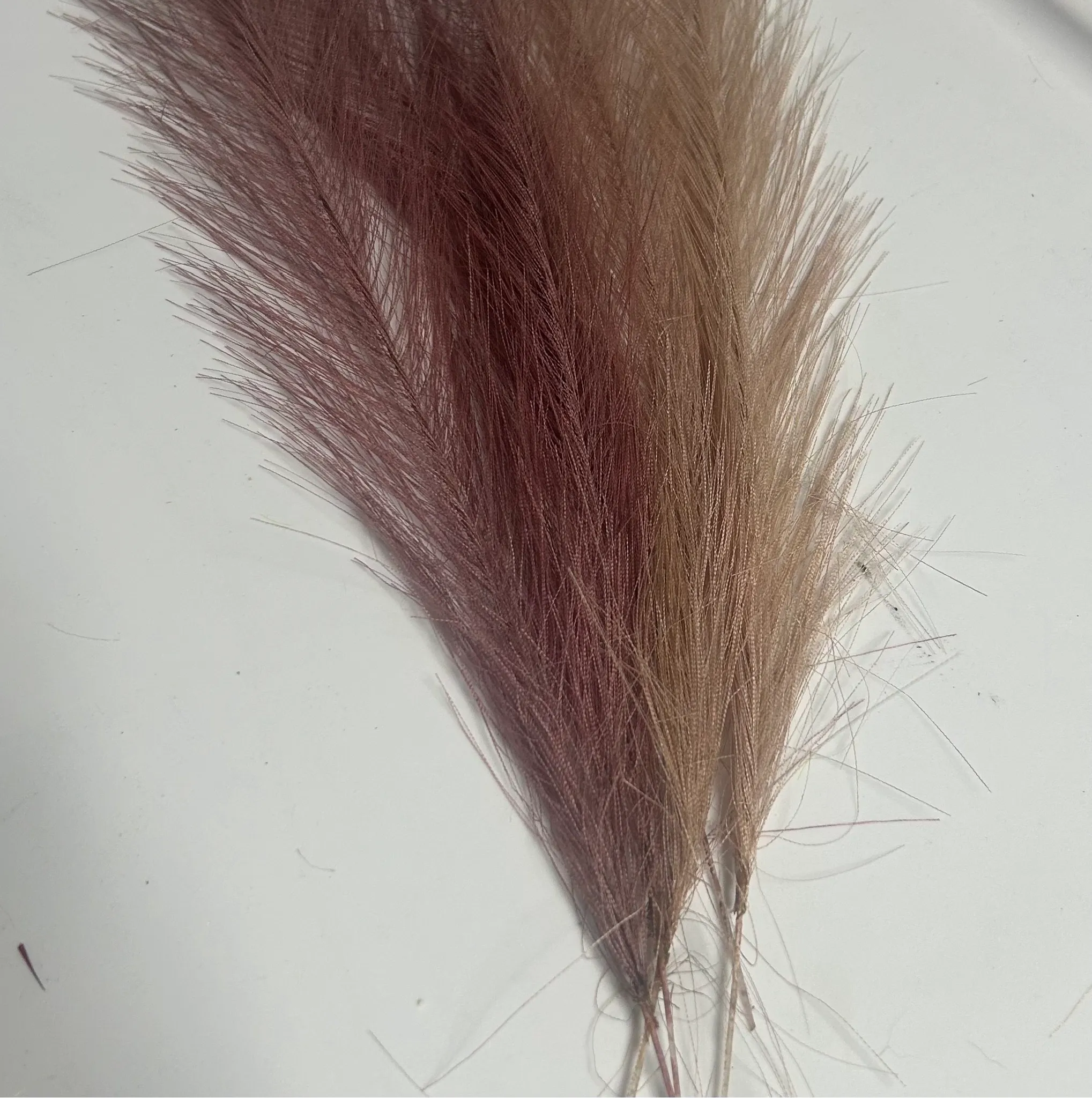 Small Purple Feathers