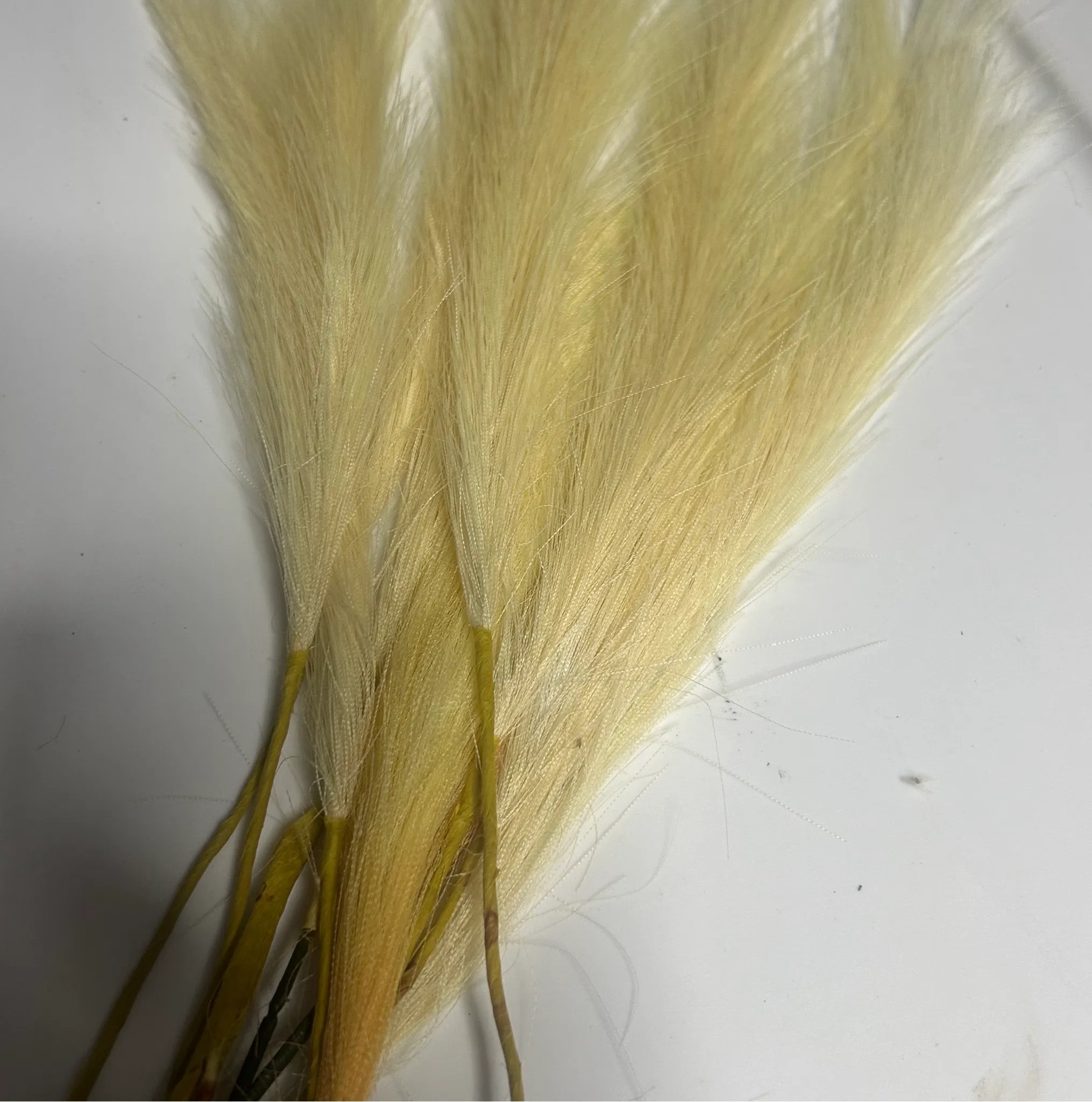 Medium Ivory Feathers
