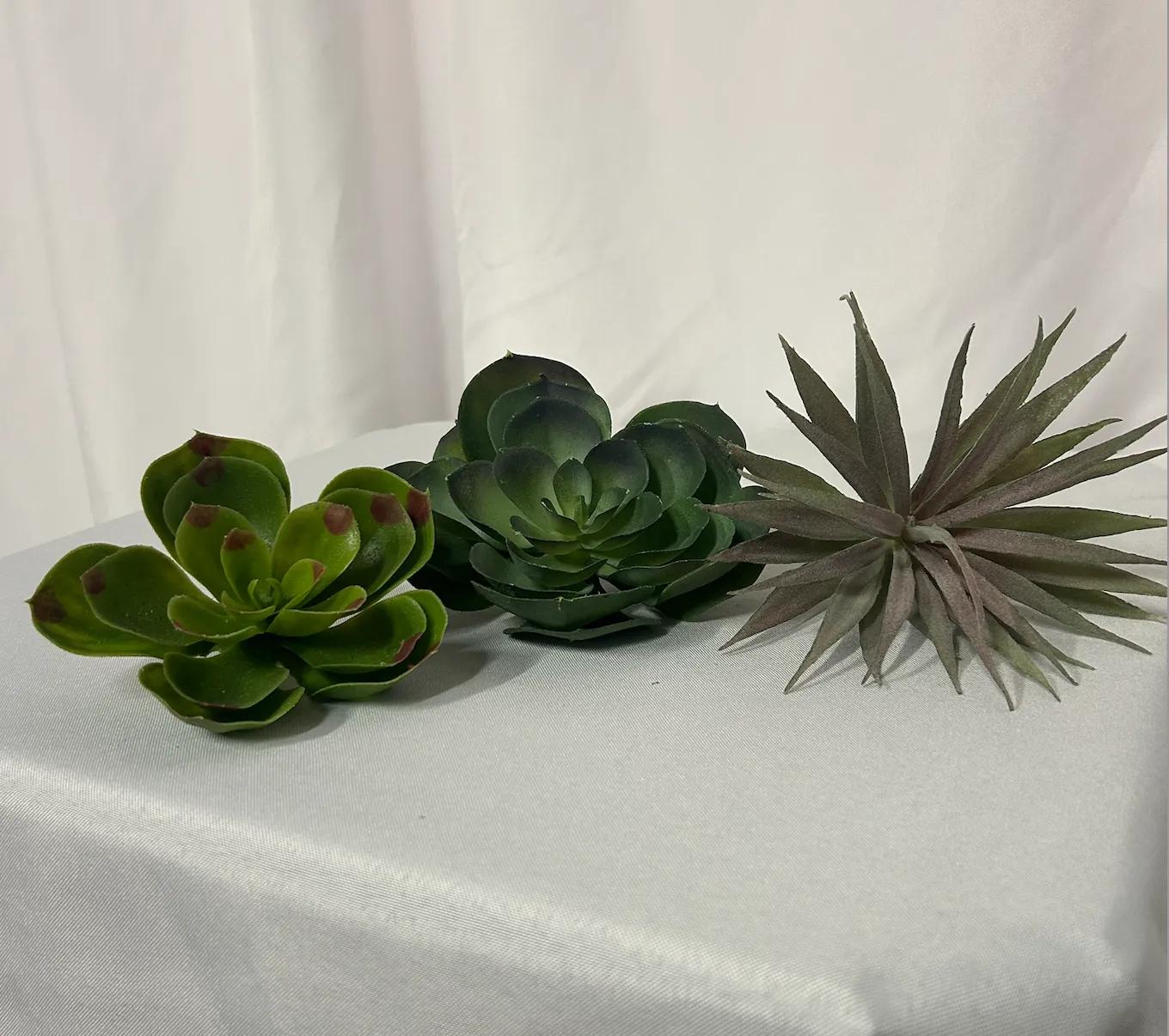 Large Artificial Succulent 