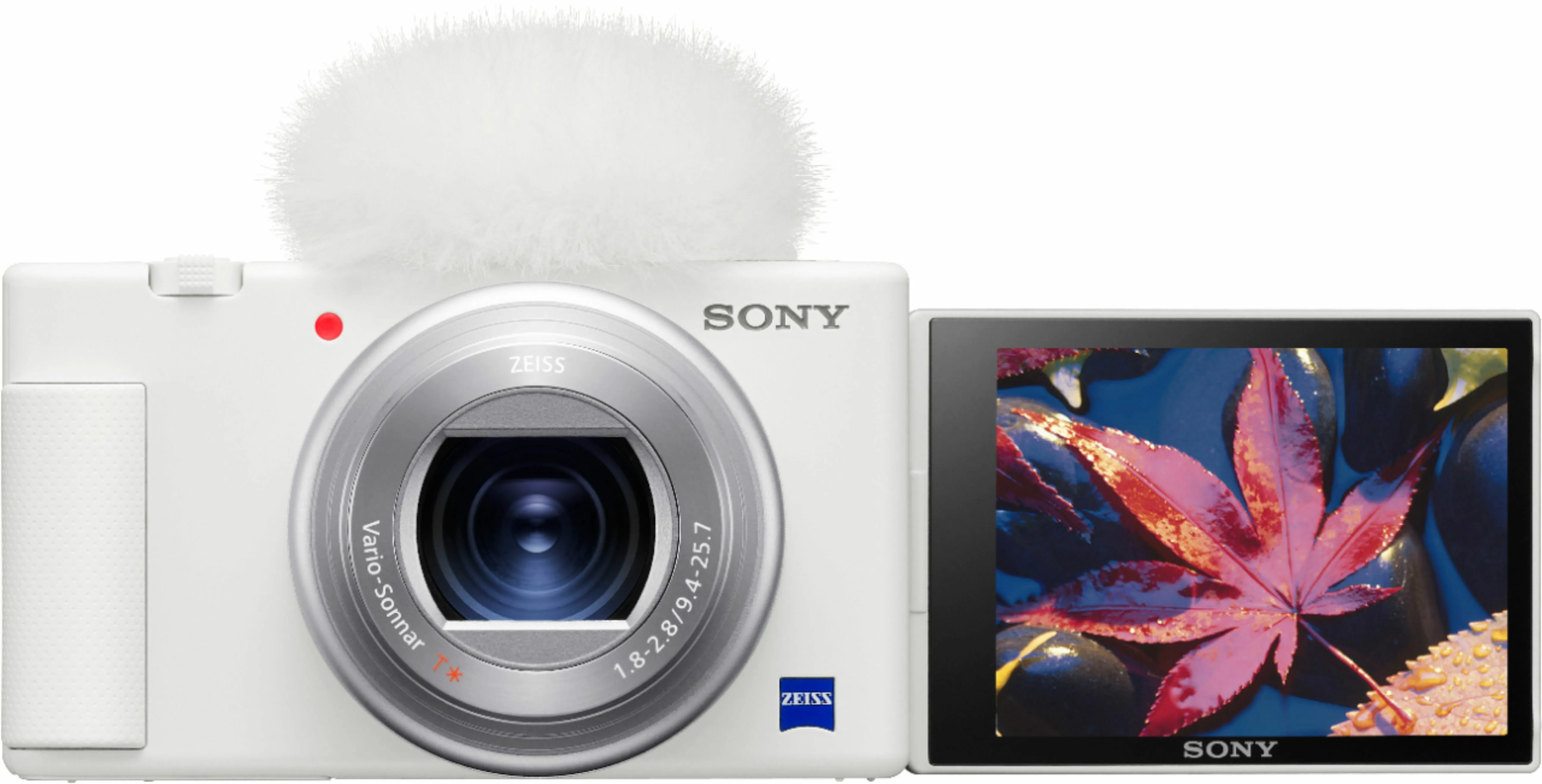 Sony Cameras