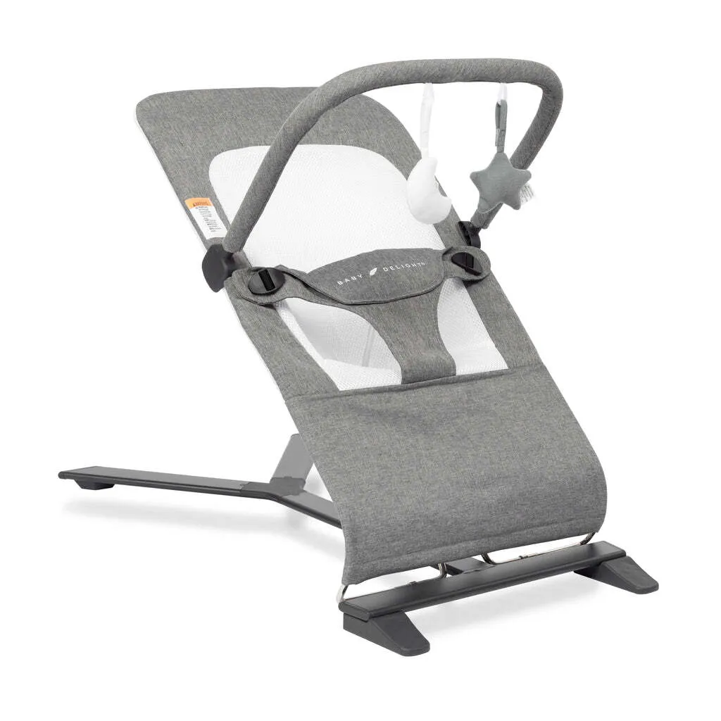  BABY DELIGHT Alpine Deluxe Portable Bouncer