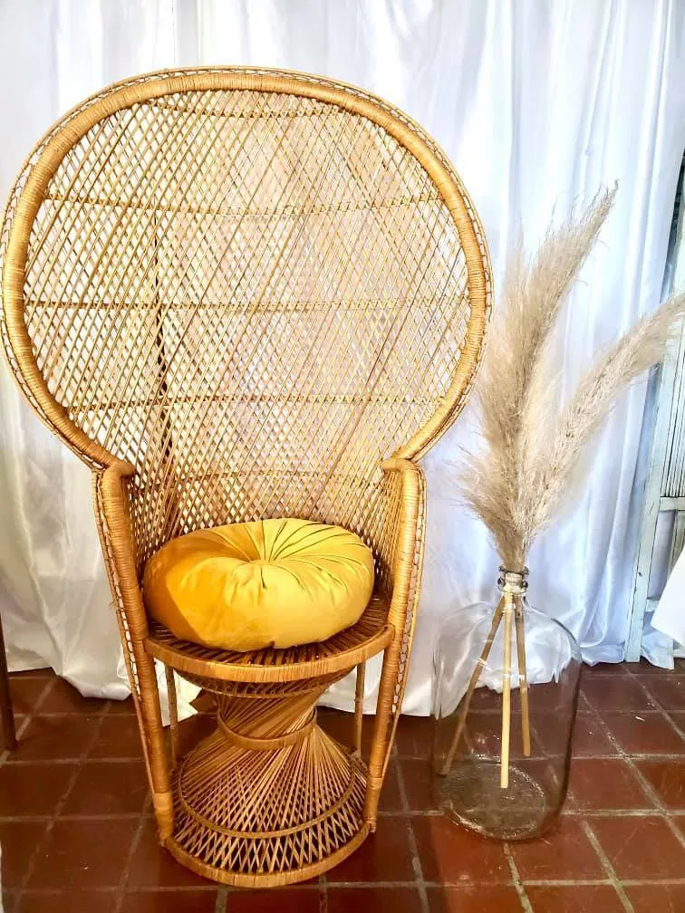 Peacock Chair