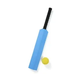 Pool Cricket Bat and Ball 