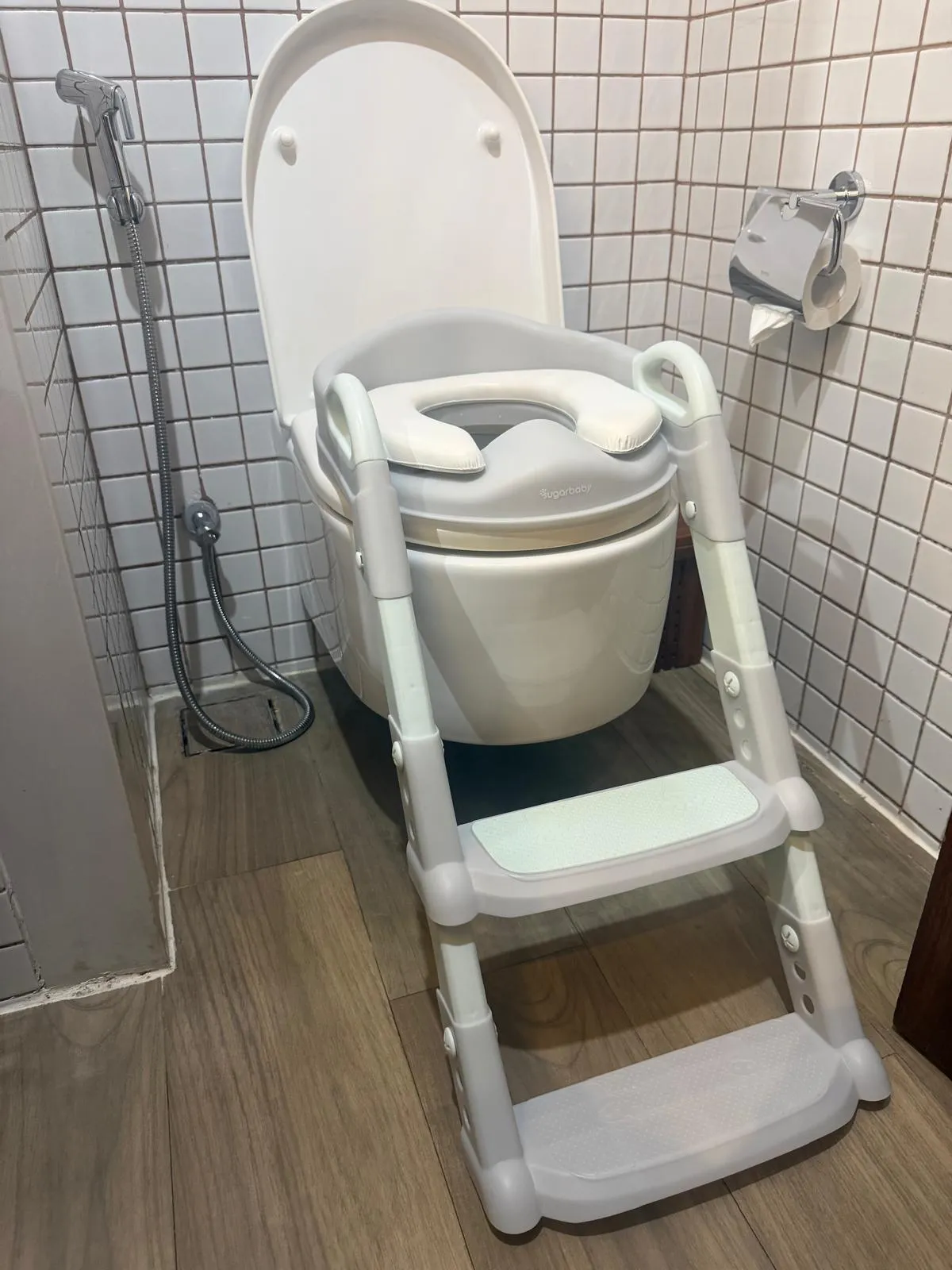 Toilet Steps