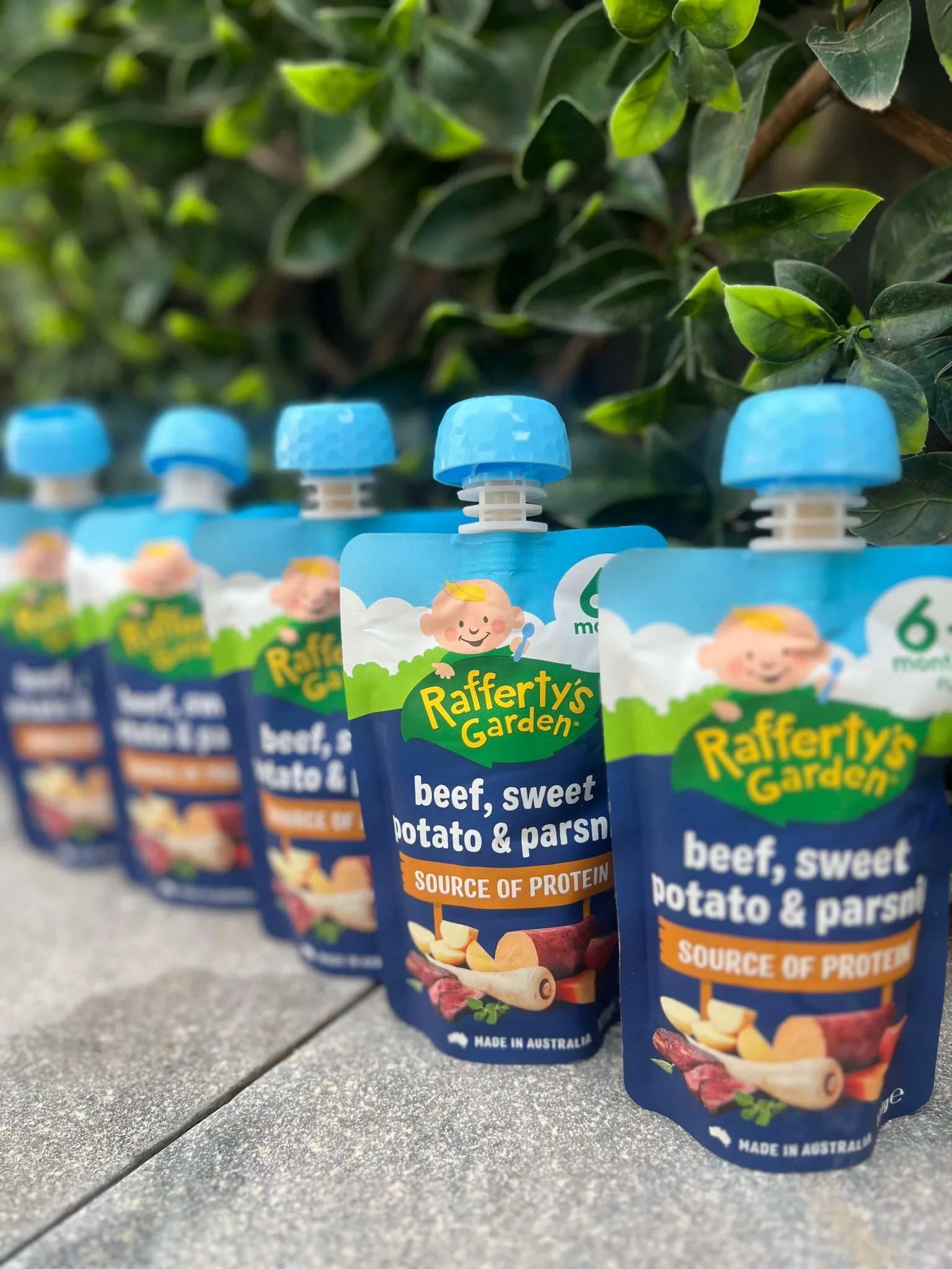 Rafferty Garden - Beef, Sweet Potato & Parsnip