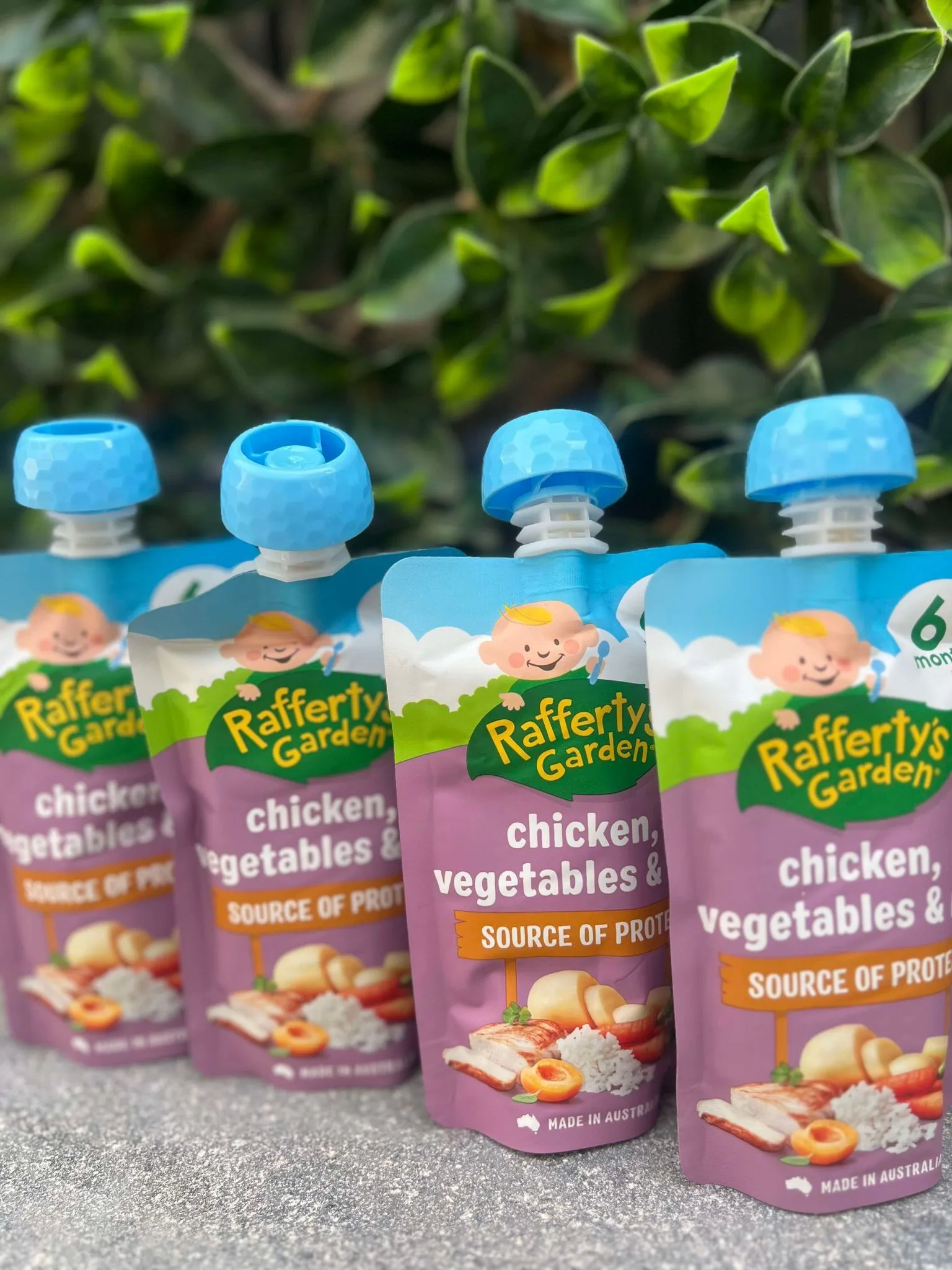 Rafferty Garden - Chicken, Vegetables & Rice 