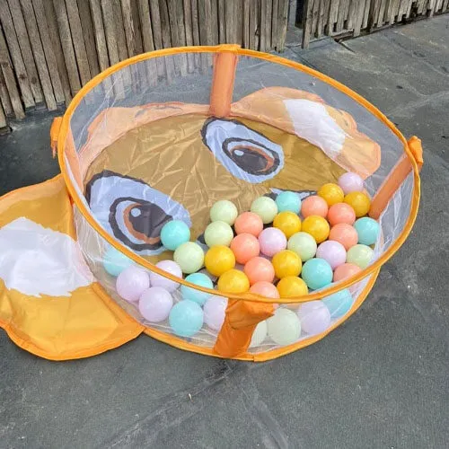 Lion King Ball Pit