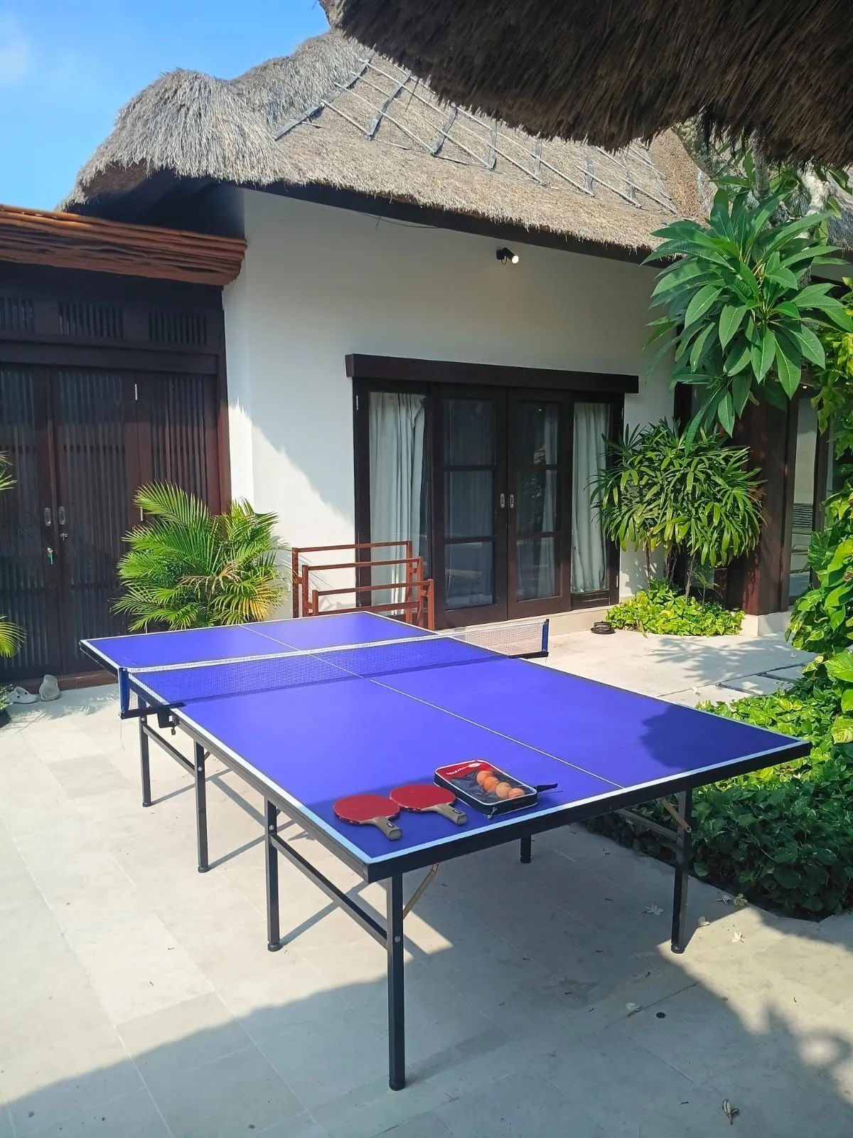 Table Tennis 