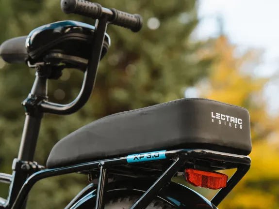 Lectric Buddy Seat