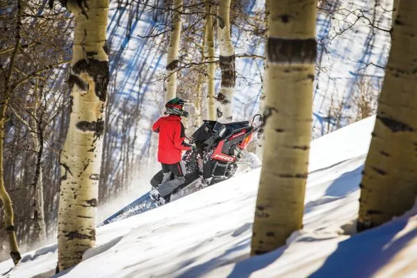 Snowmobile: 850 PRO AXYS with Guide
