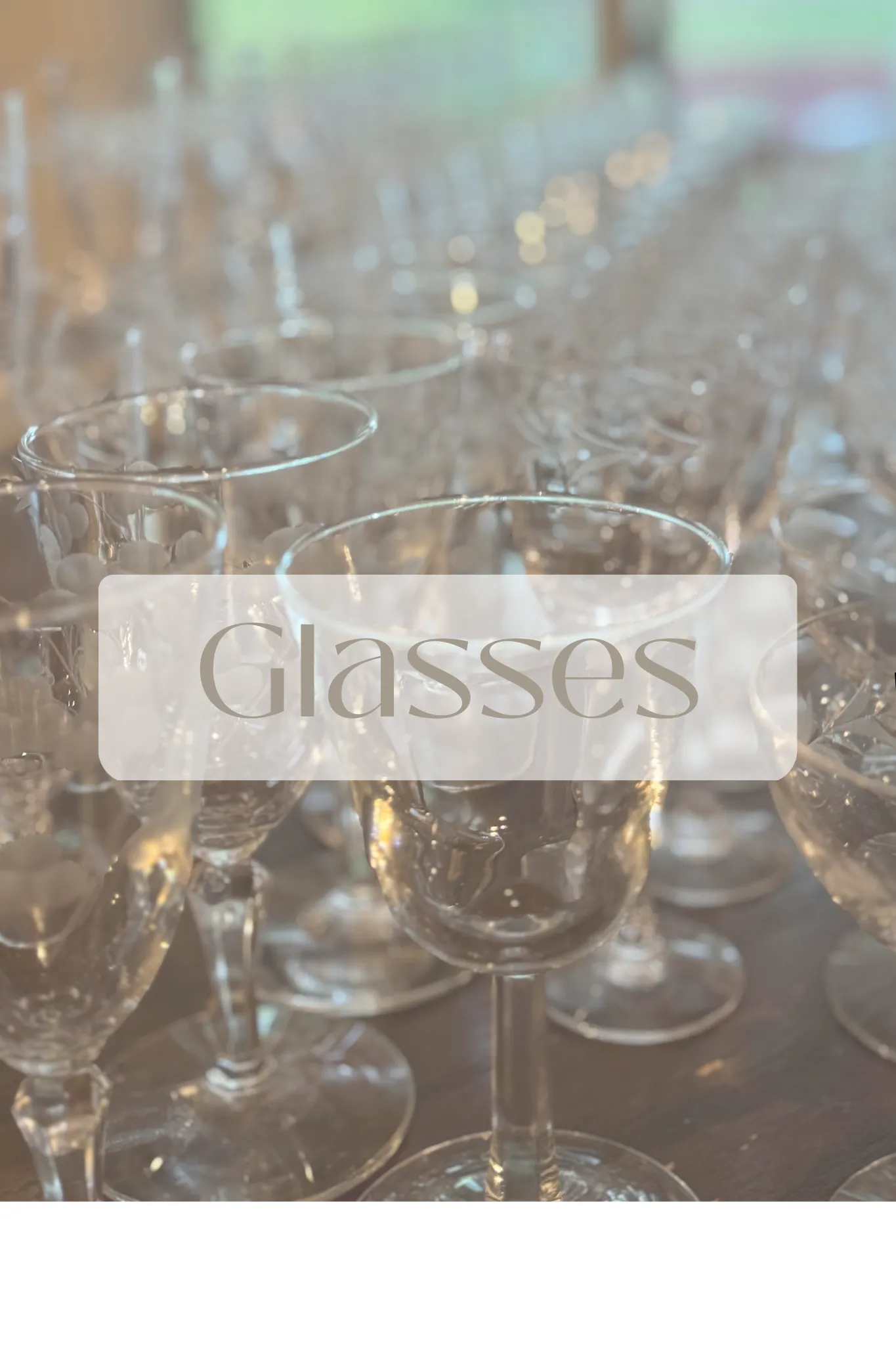 Shot Glasses 