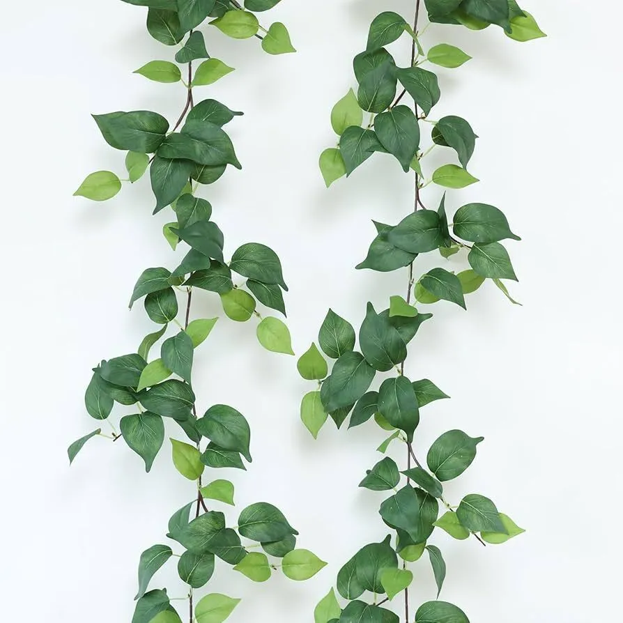 Vines 
