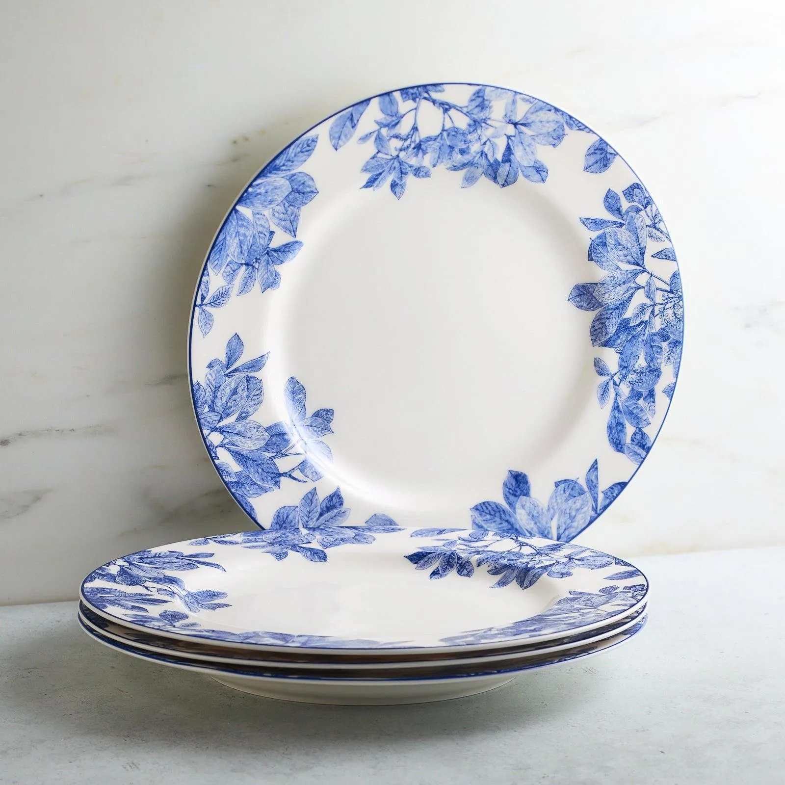 Dinner Plates