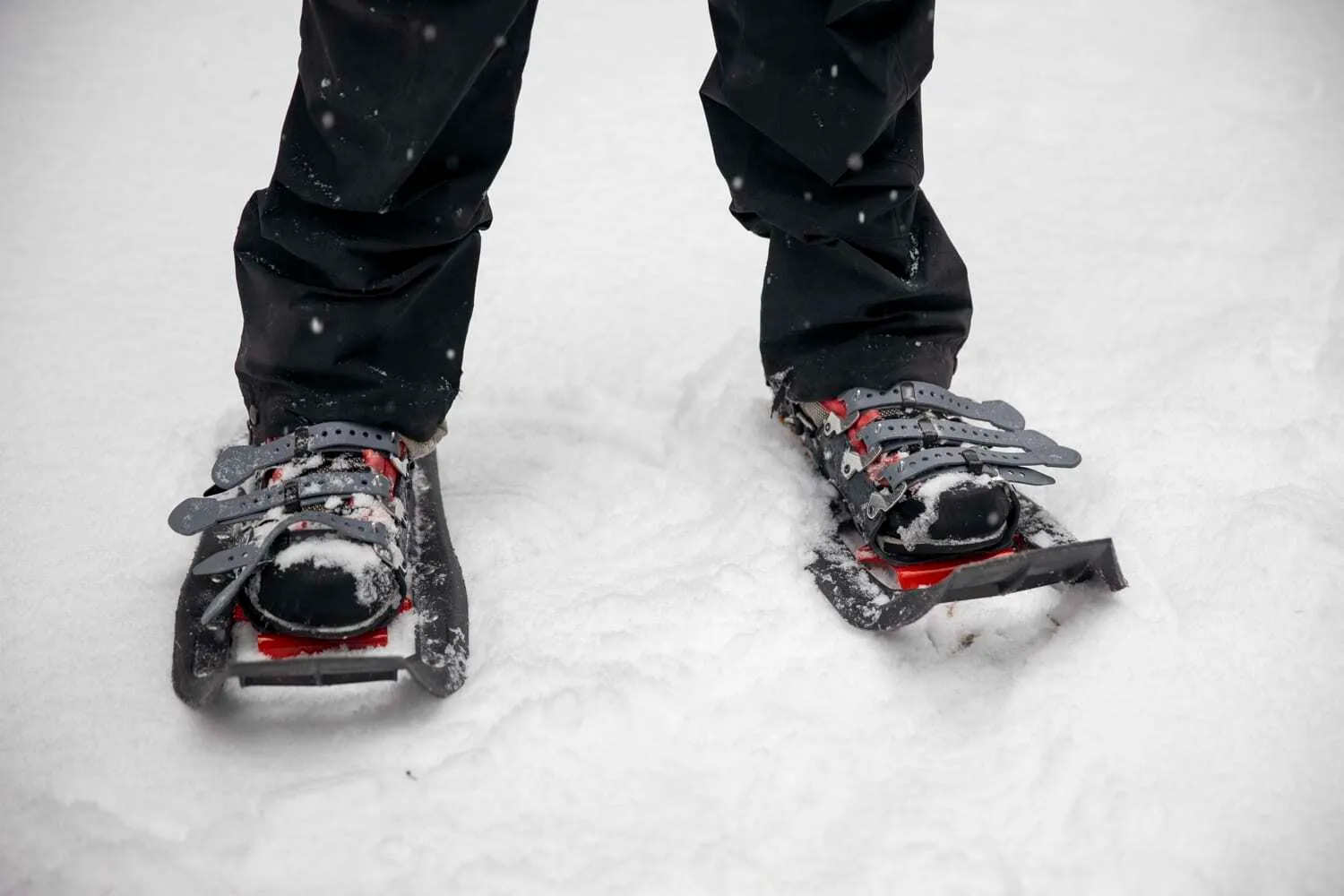 Skis and Snowshoes collection image