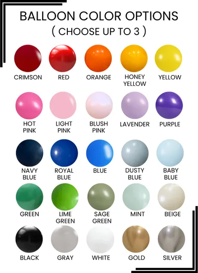 Balloon Color Choice #3