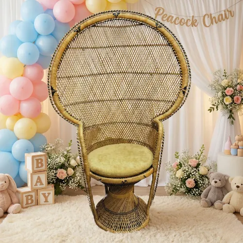 Peacock Chair