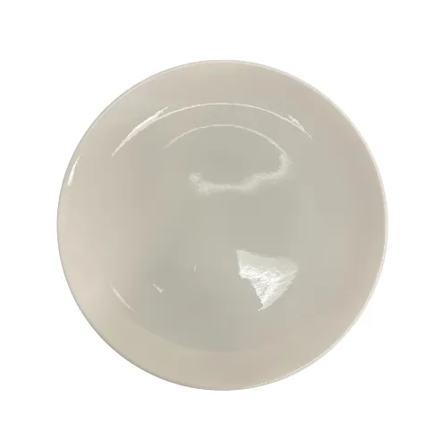 Dinner Plate - 10.5"