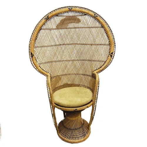 Peacock Chair