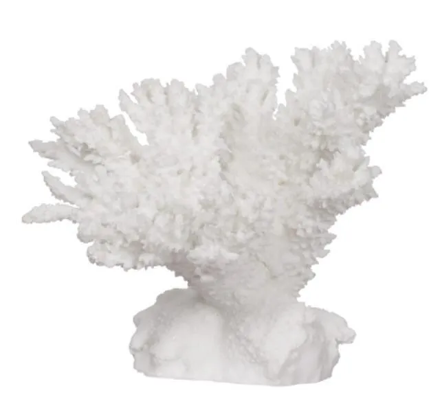 Coral - White