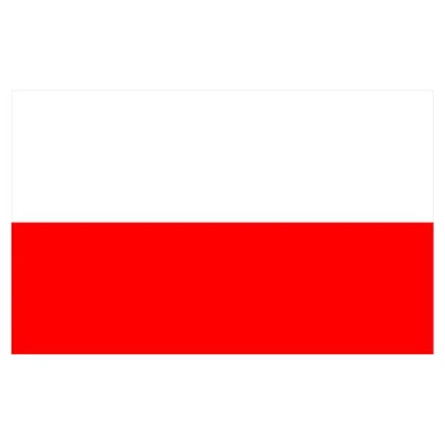 Poland Flag - Small