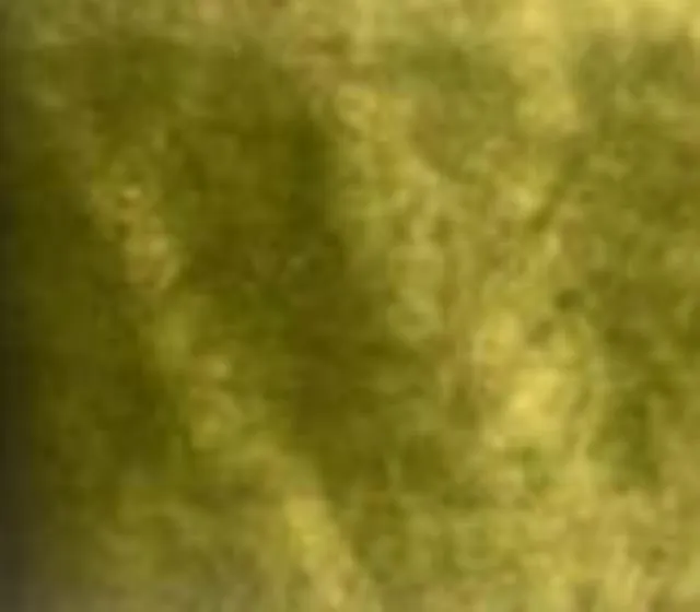 Elizabeth Apple Green Velvet Linen